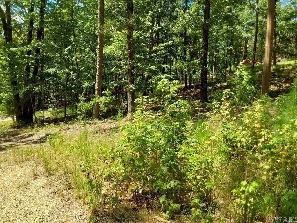 615 Rio Lane  Little Rock, AR