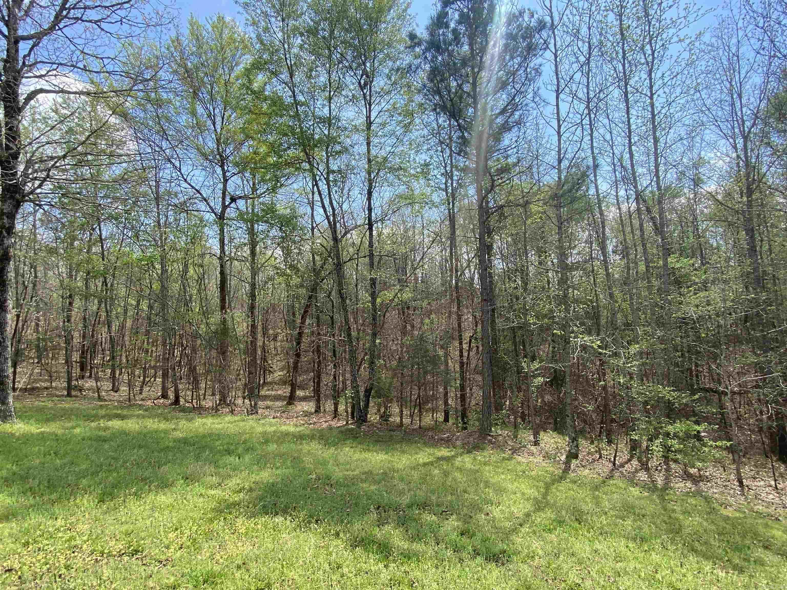 47 Hawkeye  Mount Ida, AR