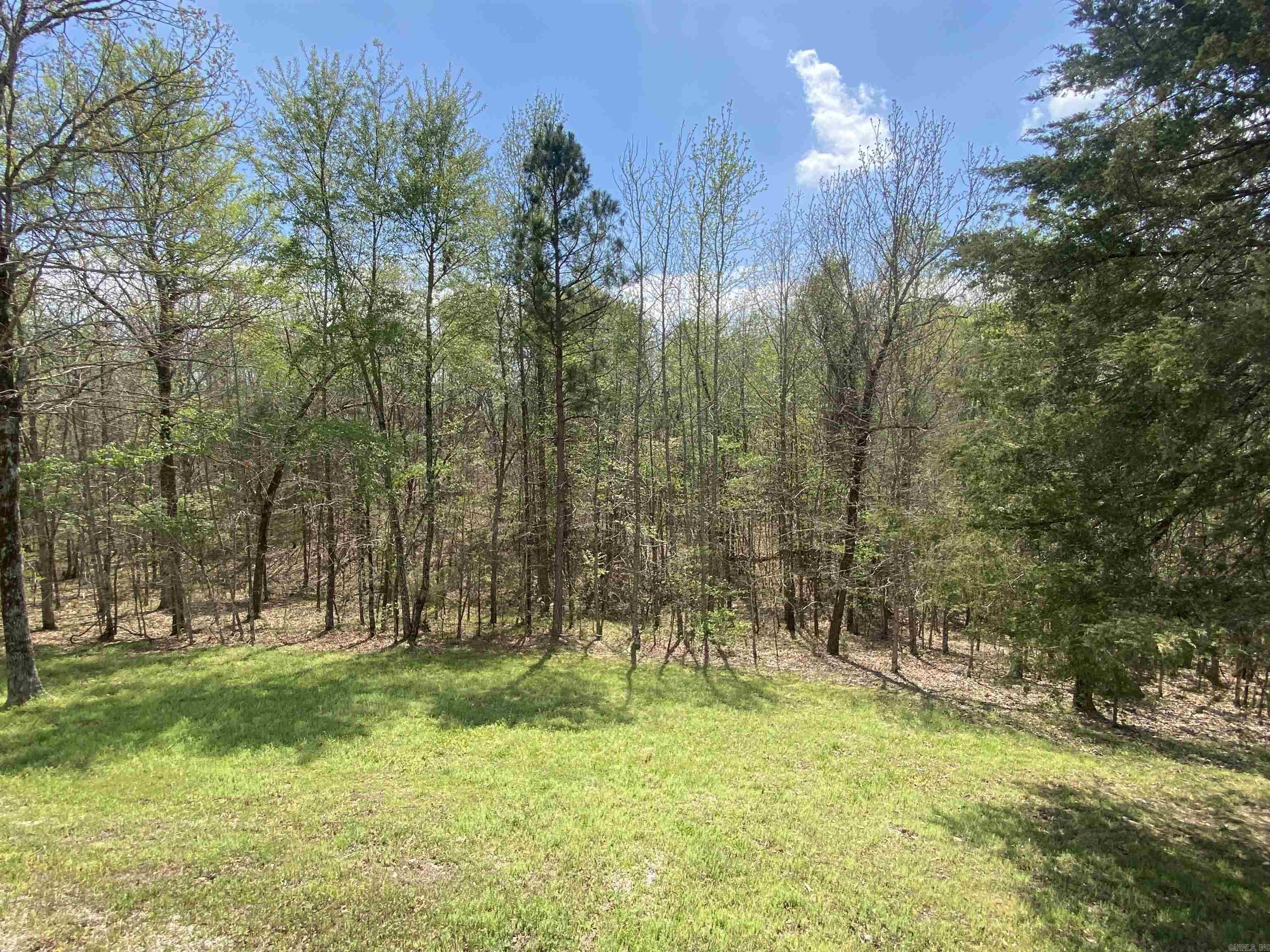 47 Hawkeye  Mount Ida, AR