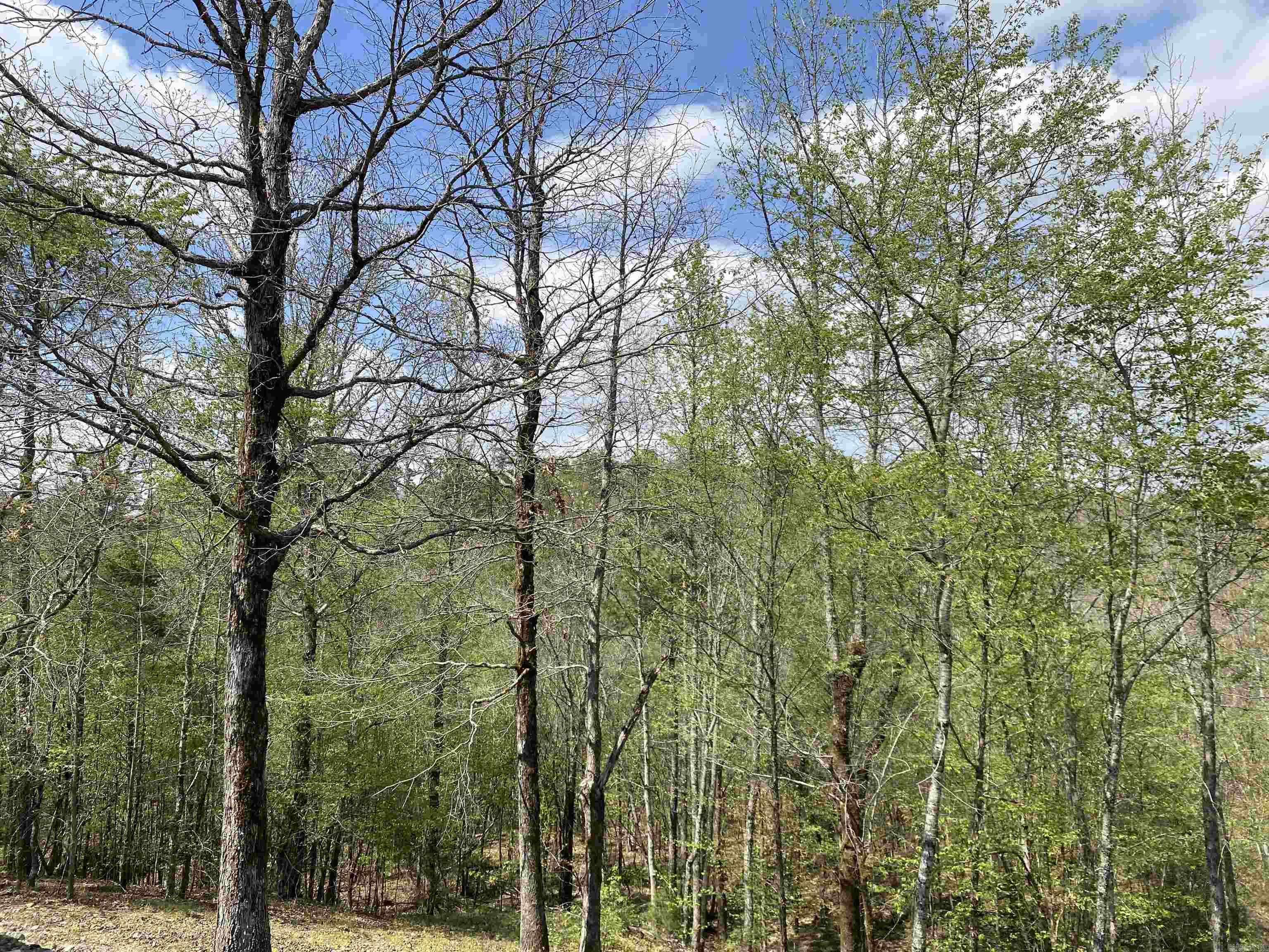 47 Hawkeye  Mount Ida, AR