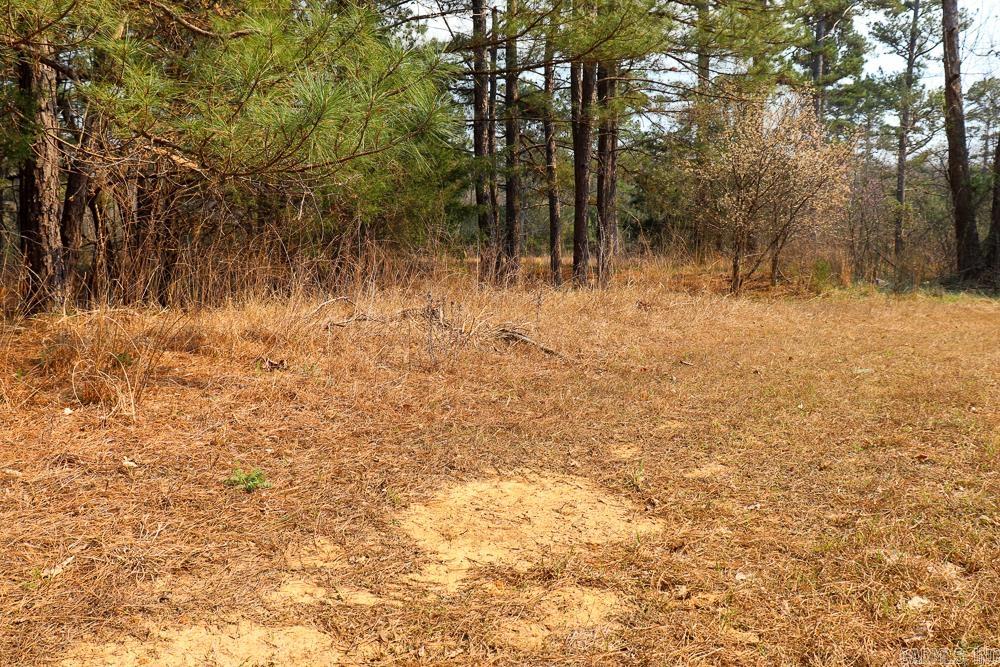 1455 Highway 115  Smithville, AR