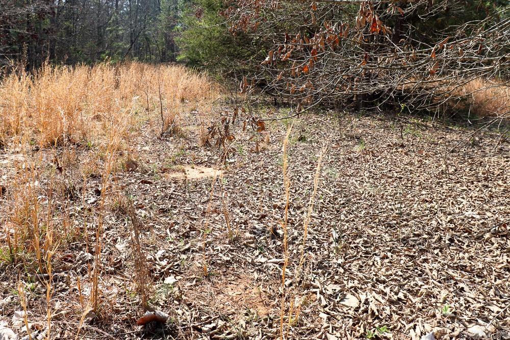 1455 Highway 115  Smithville, AR