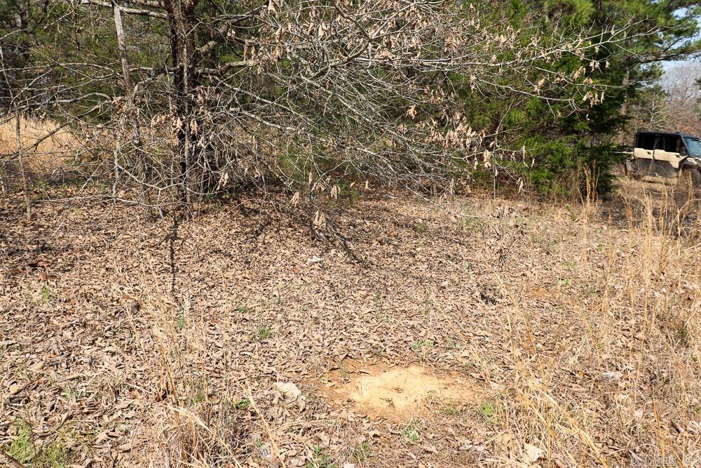 1455 Highway 115  Smithville, AR