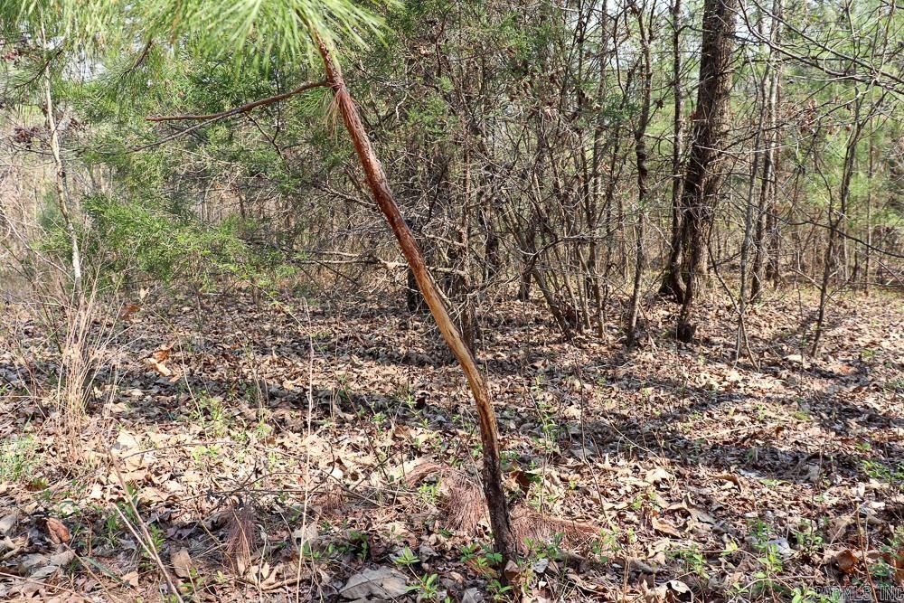 1455 Highway 115  Smithville, AR