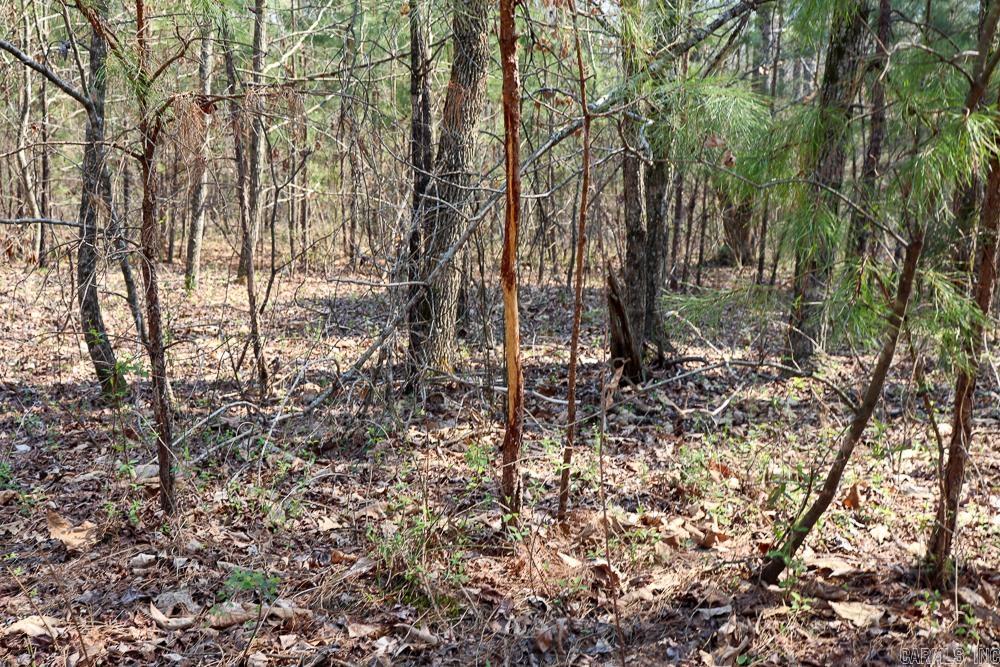 1455 Highway 115  Smithville, AR