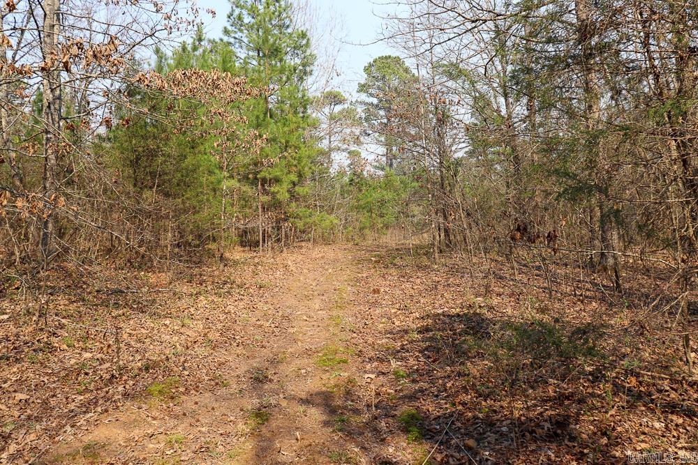 1455 Highway 115  Smithville, AR