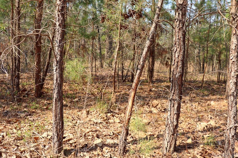 1455 Highway 115  Smithville, AR