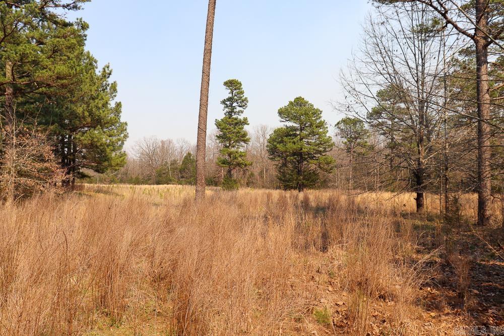 1455 Highway 115  Smithville, AR