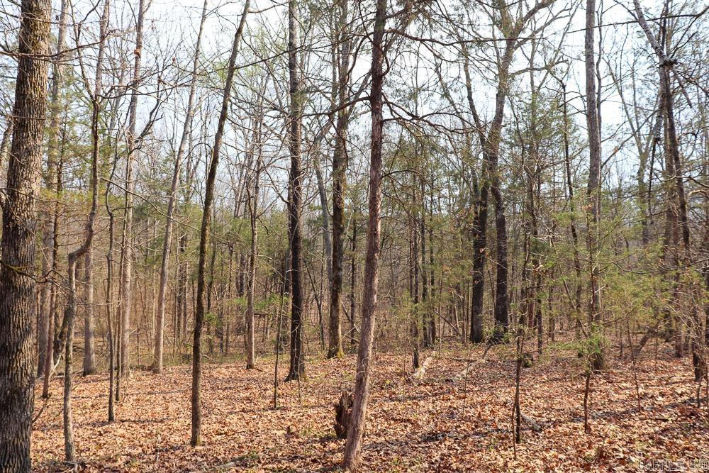 1455 Highway 115  Smithville, AR