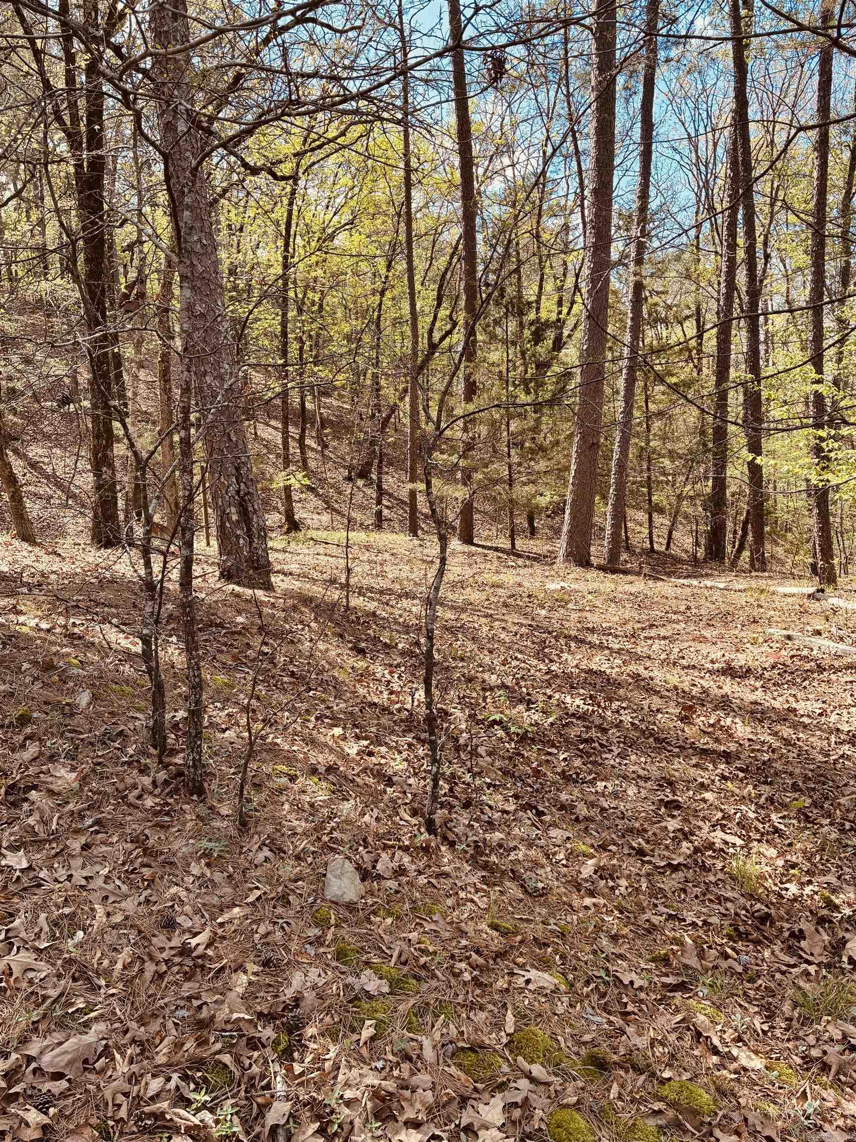 10111 Garrison  Little Rock, AR