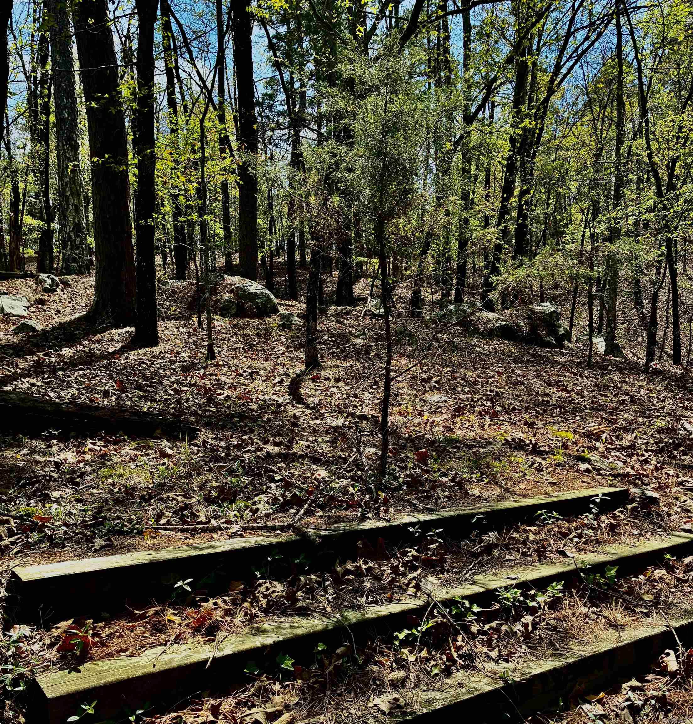 10111 Garrison  Little Rock, AR