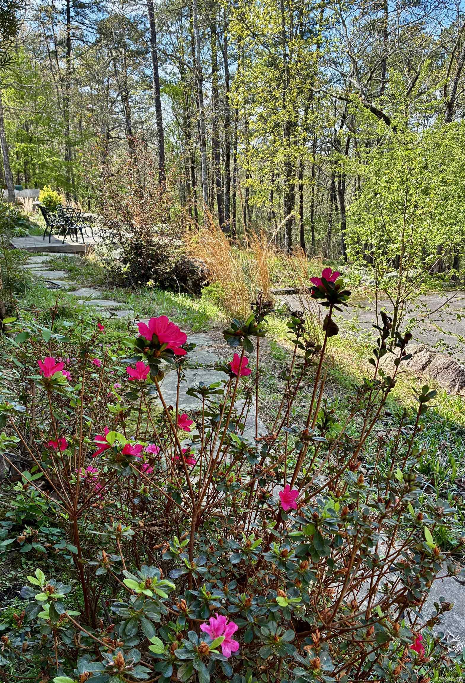 10111 Garrison  Little Rock, AR