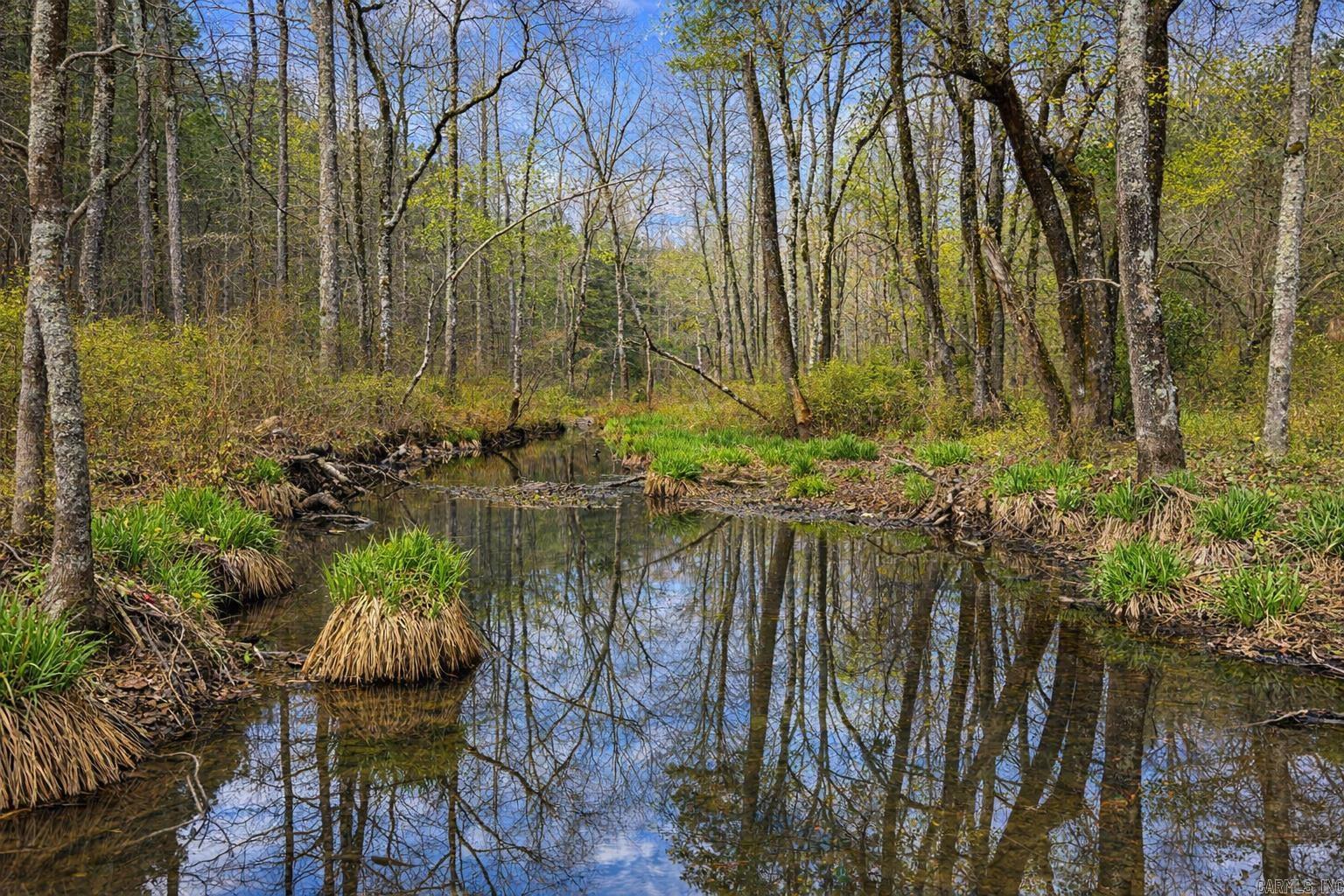 00 Ross Hollow  Bigelow, AR