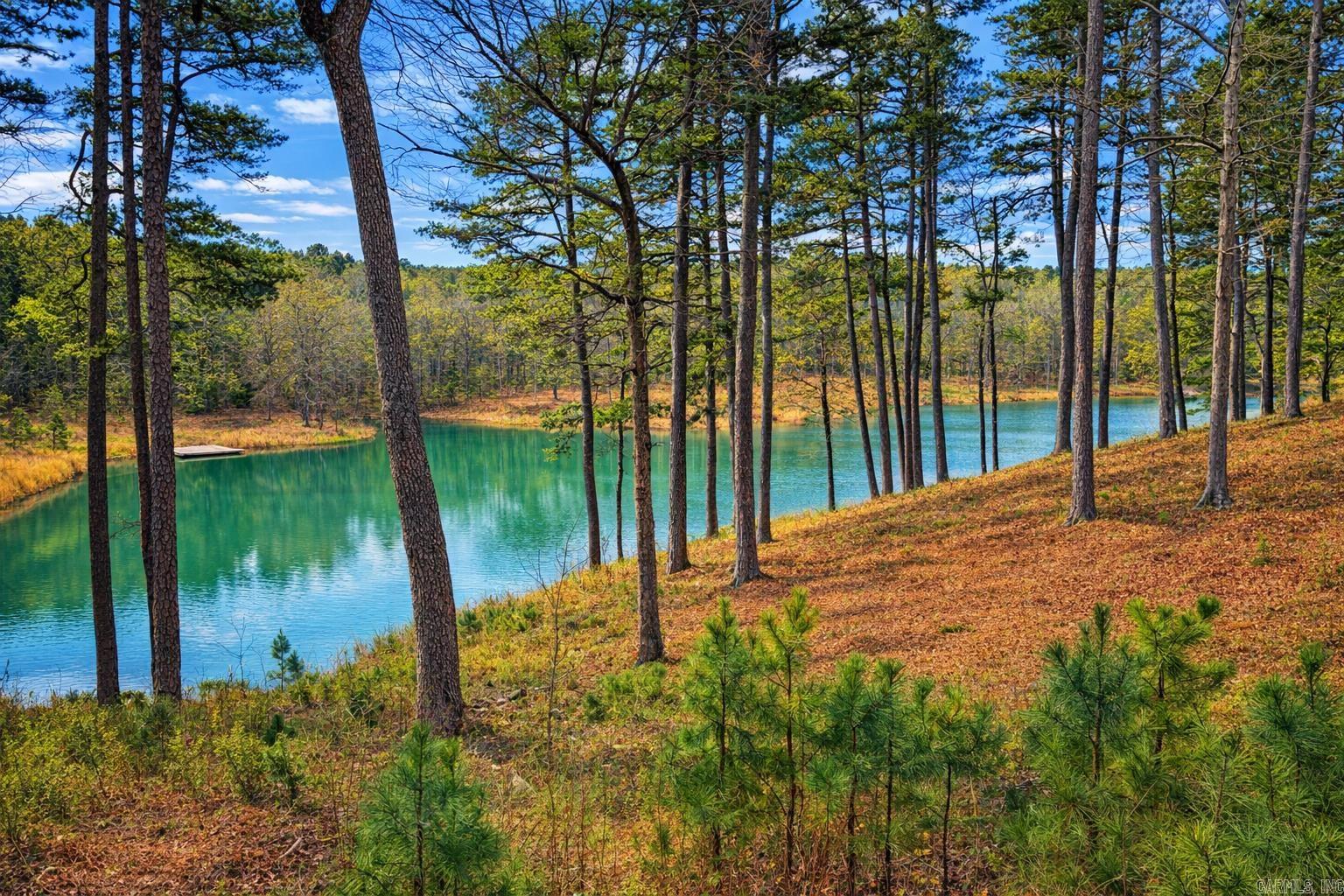 00 Ross Hollow  Bigelow, AR