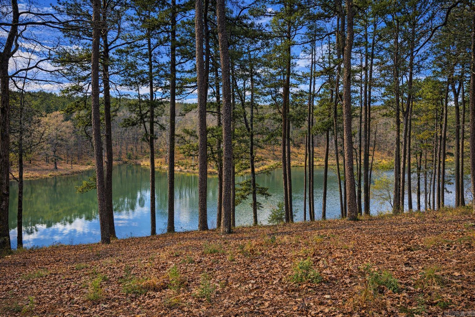 00 Ross Hollow  Bigelow, AR