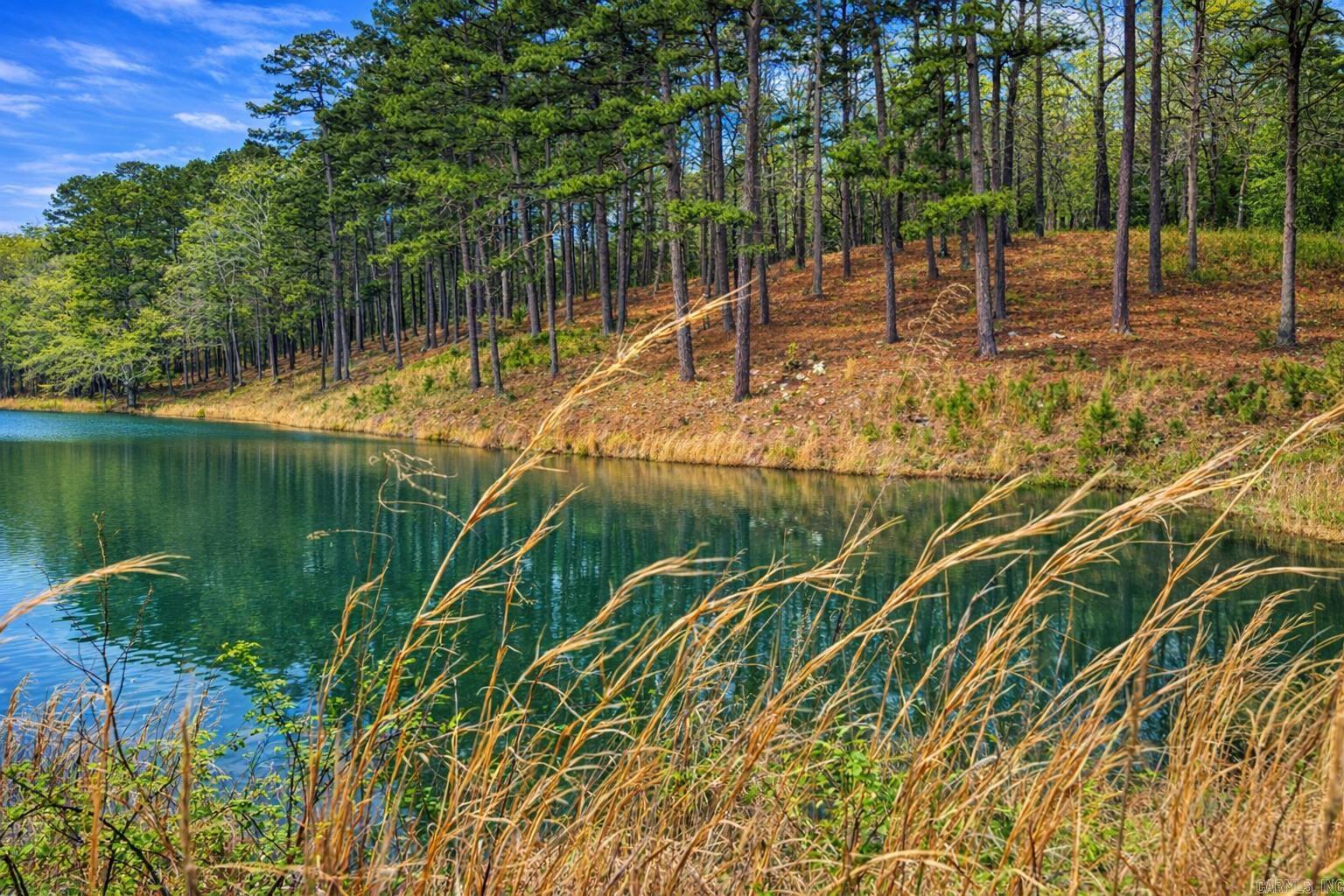 00 Ross Hollow  Bigelow, AR