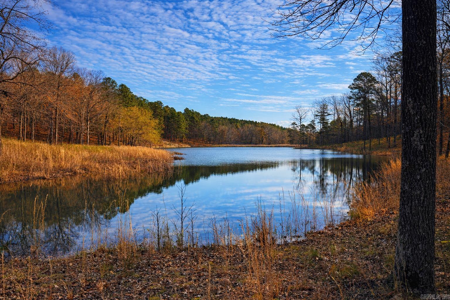 00 Ross Hollow  Bigelow, AR