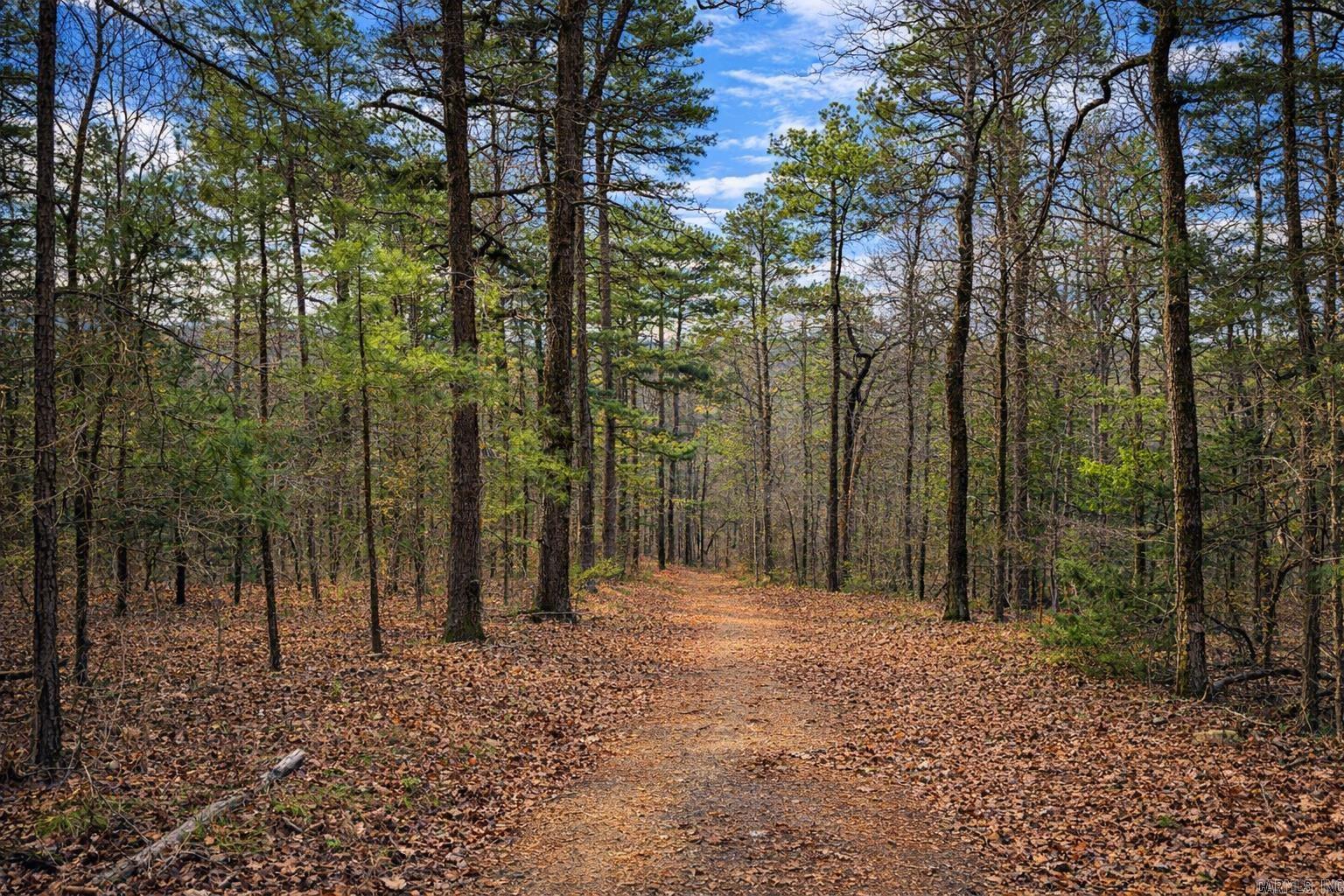 00 Ross Hollow  Bigelow, AR