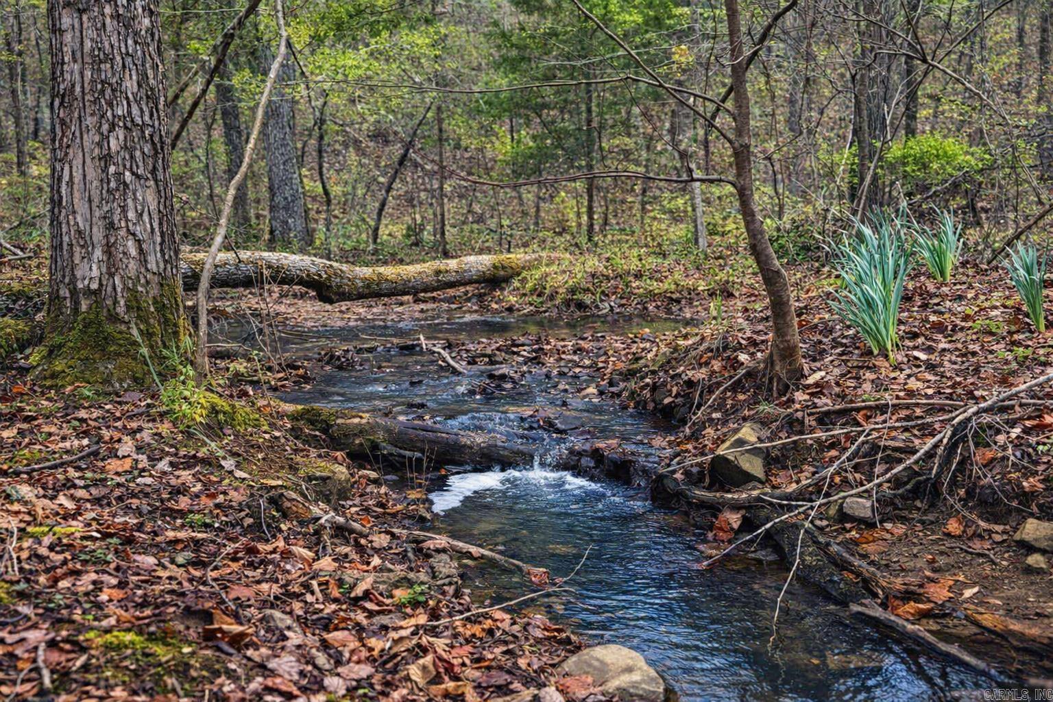 00 Ross Hollow  Bigelow, AR