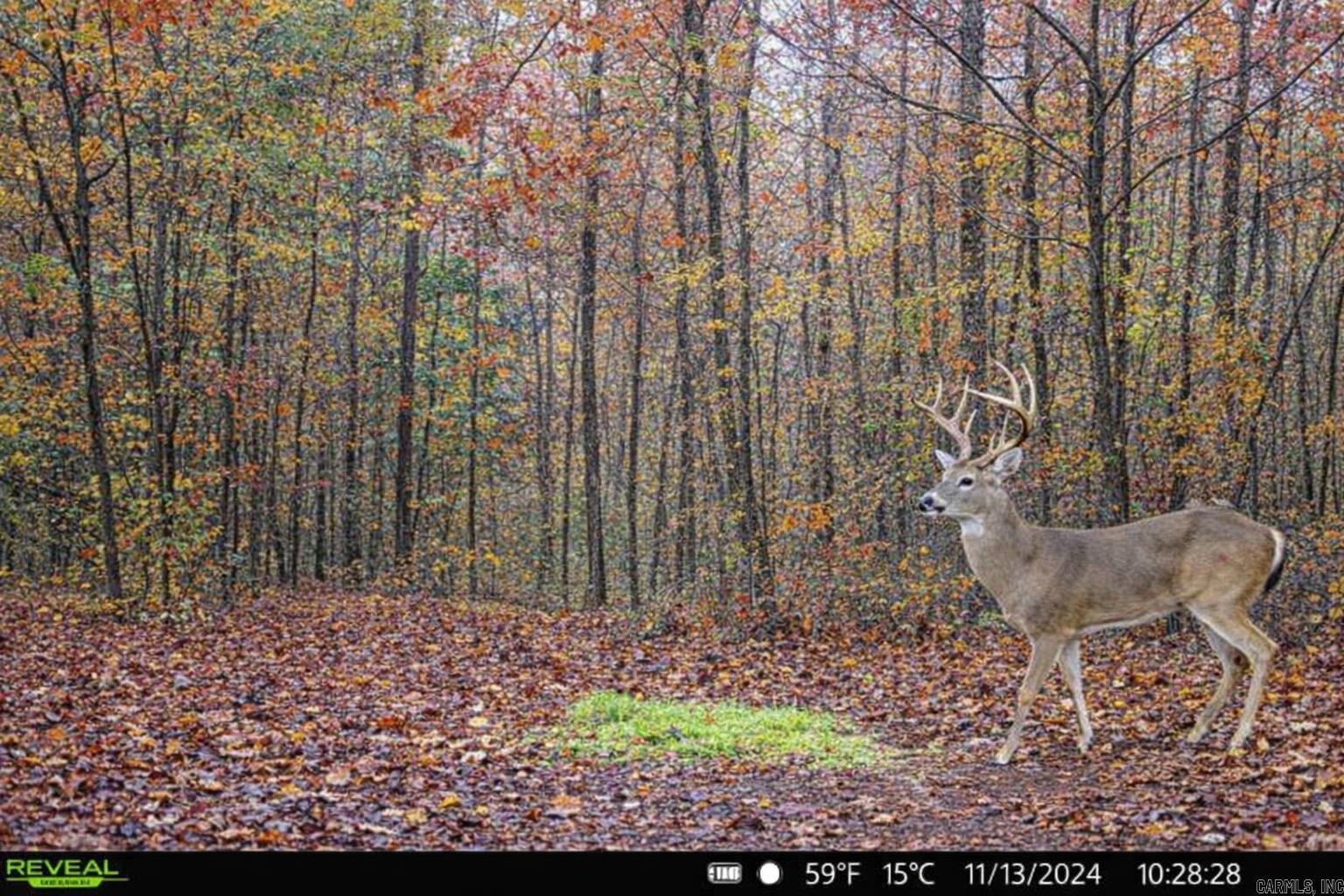 00 Ross Hollow  Bigelow, AR