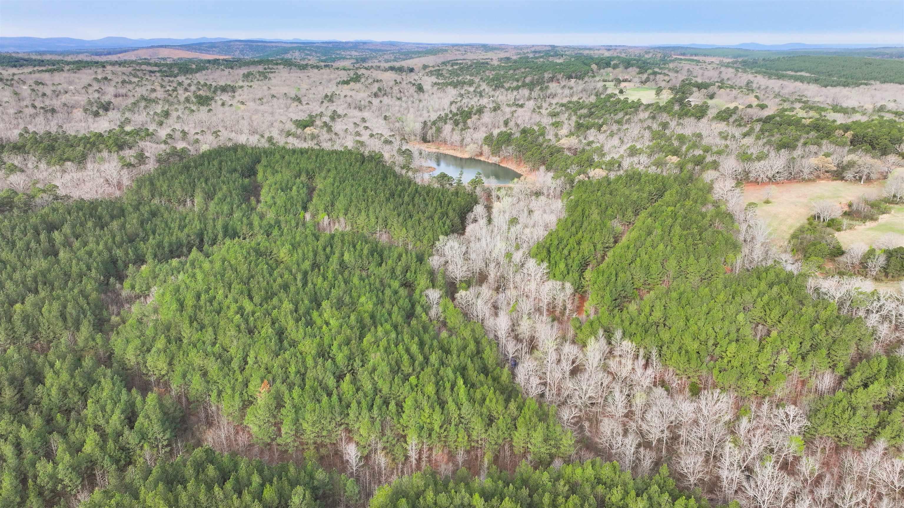 00 Ross Hollow  Bigelow, AR