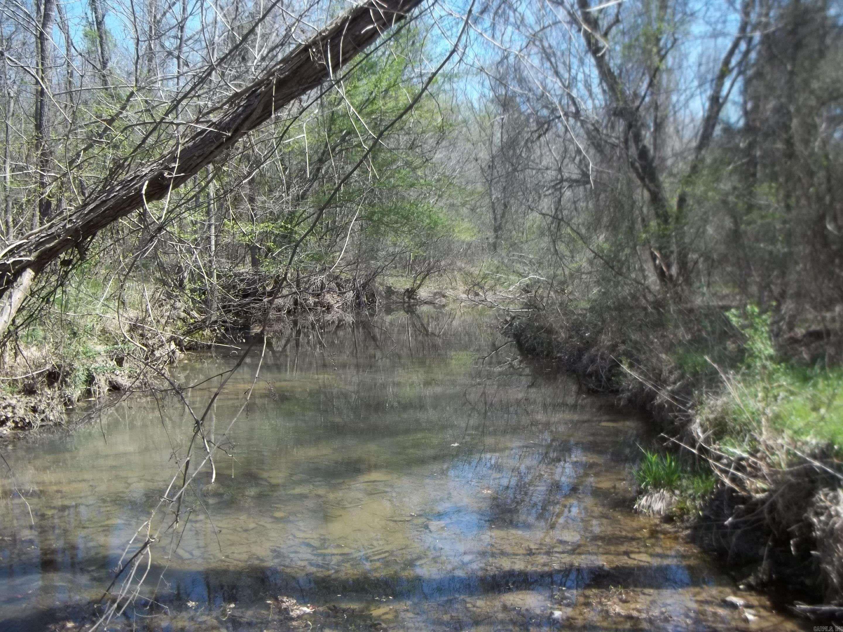 1013 Polk Road 23 Cove, AR 71937