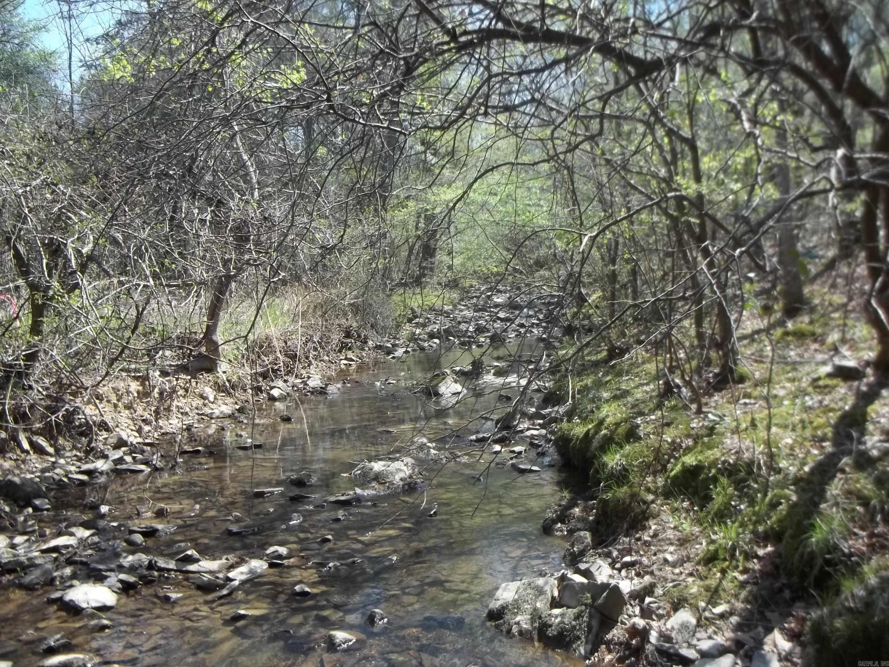 1013 Polk Road 23 Cove, AR 71937