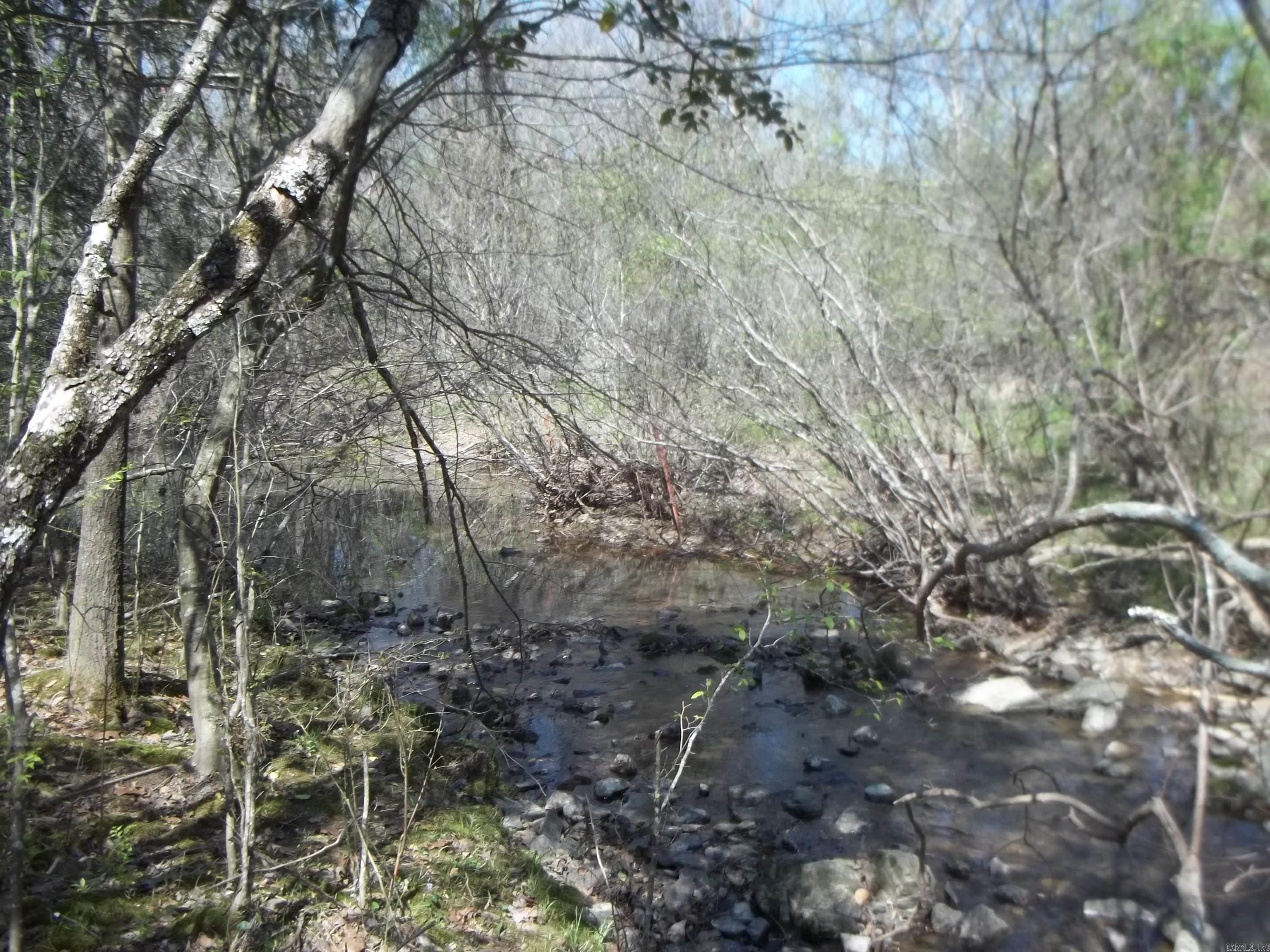 1013 Polk Road 23 Cove, AR 71937