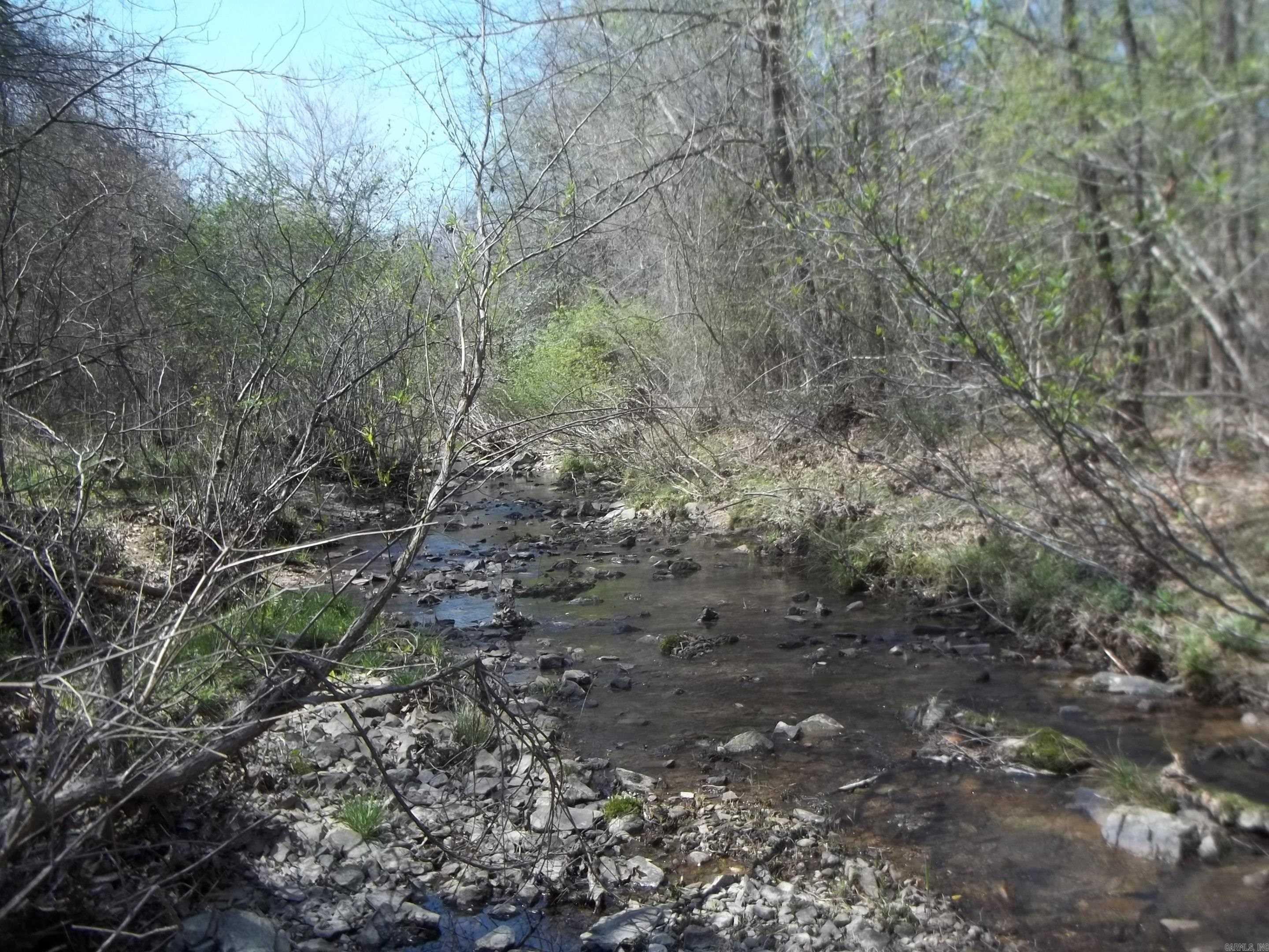 1013 Polk Road 23 Cove, AR 71937