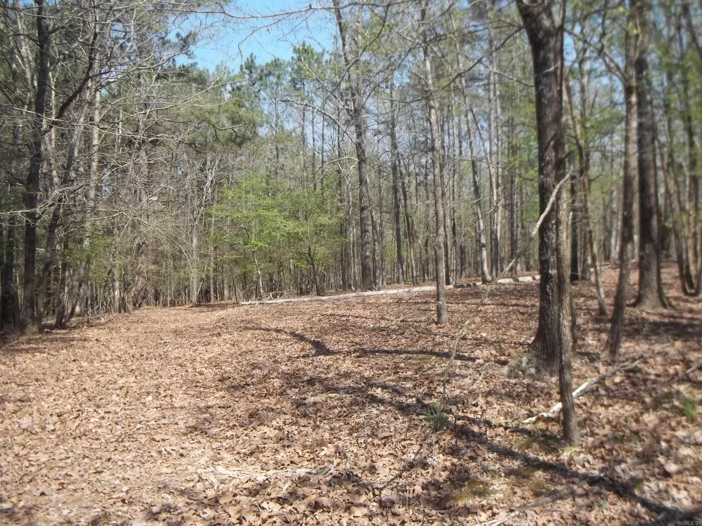 1013 Polk Road 23 Cove, AR 71937