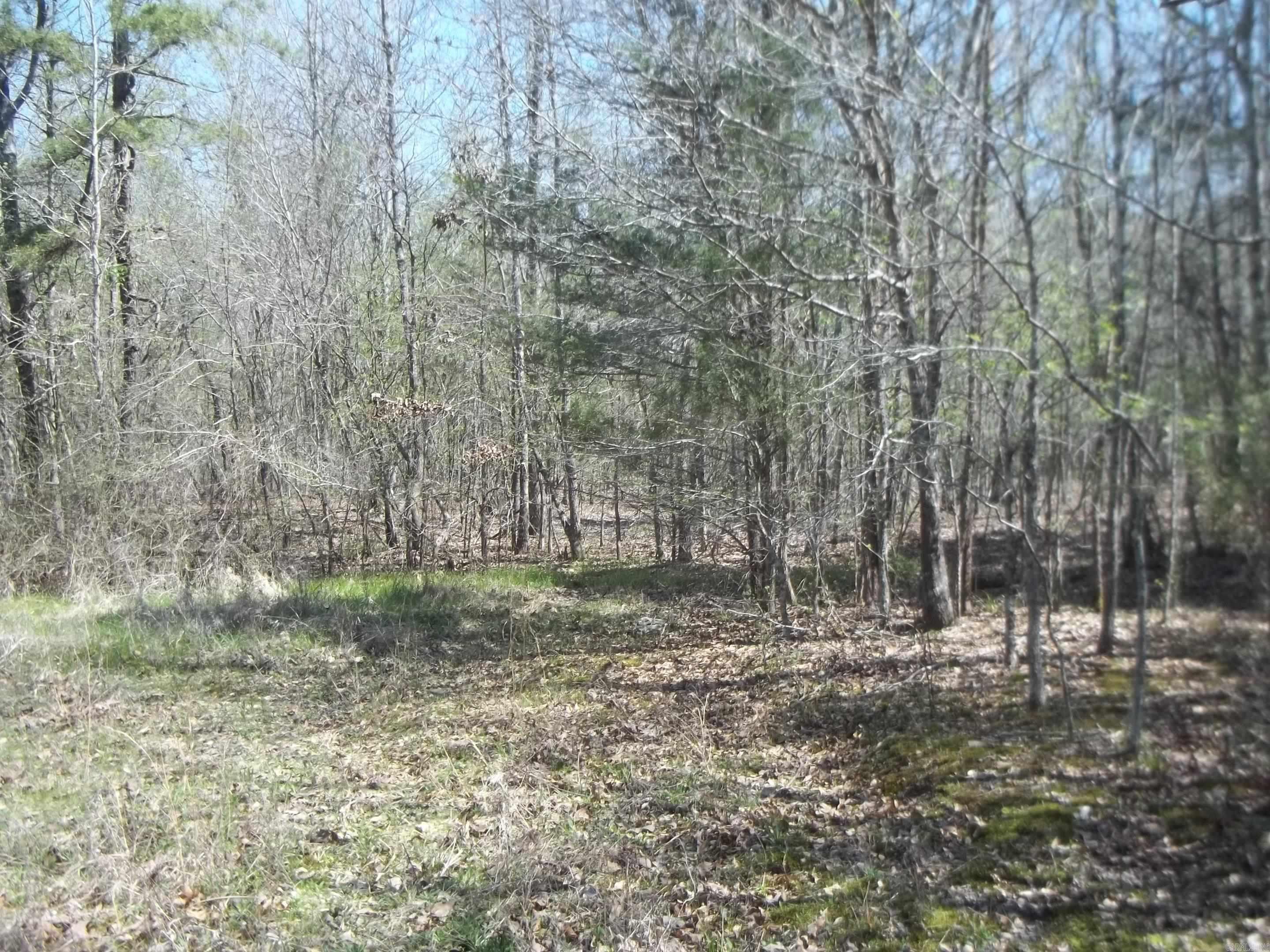 1013 Polk Road 23 Cove, AR 71937