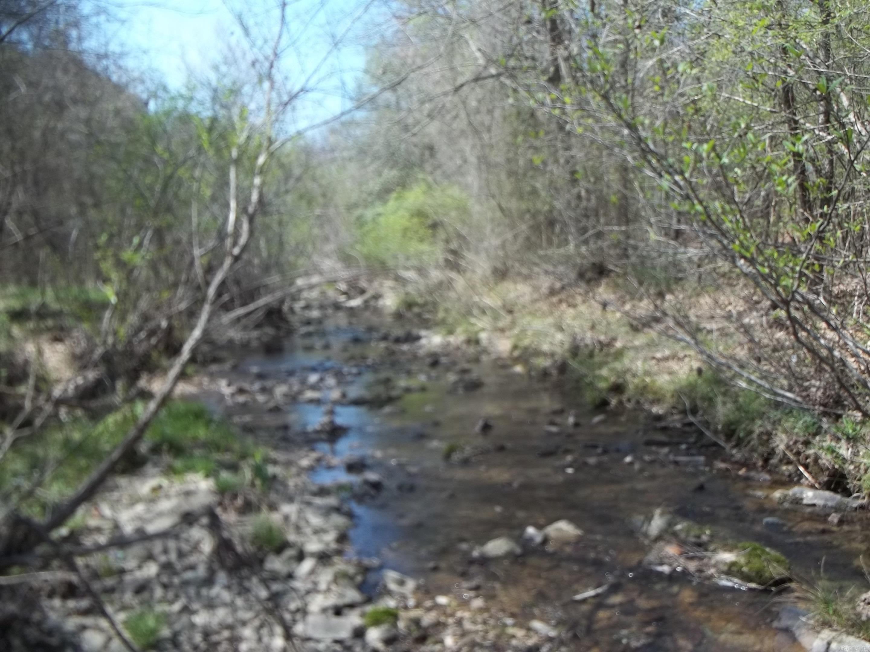 1013 Polk Road 23 Cove, AR 71937