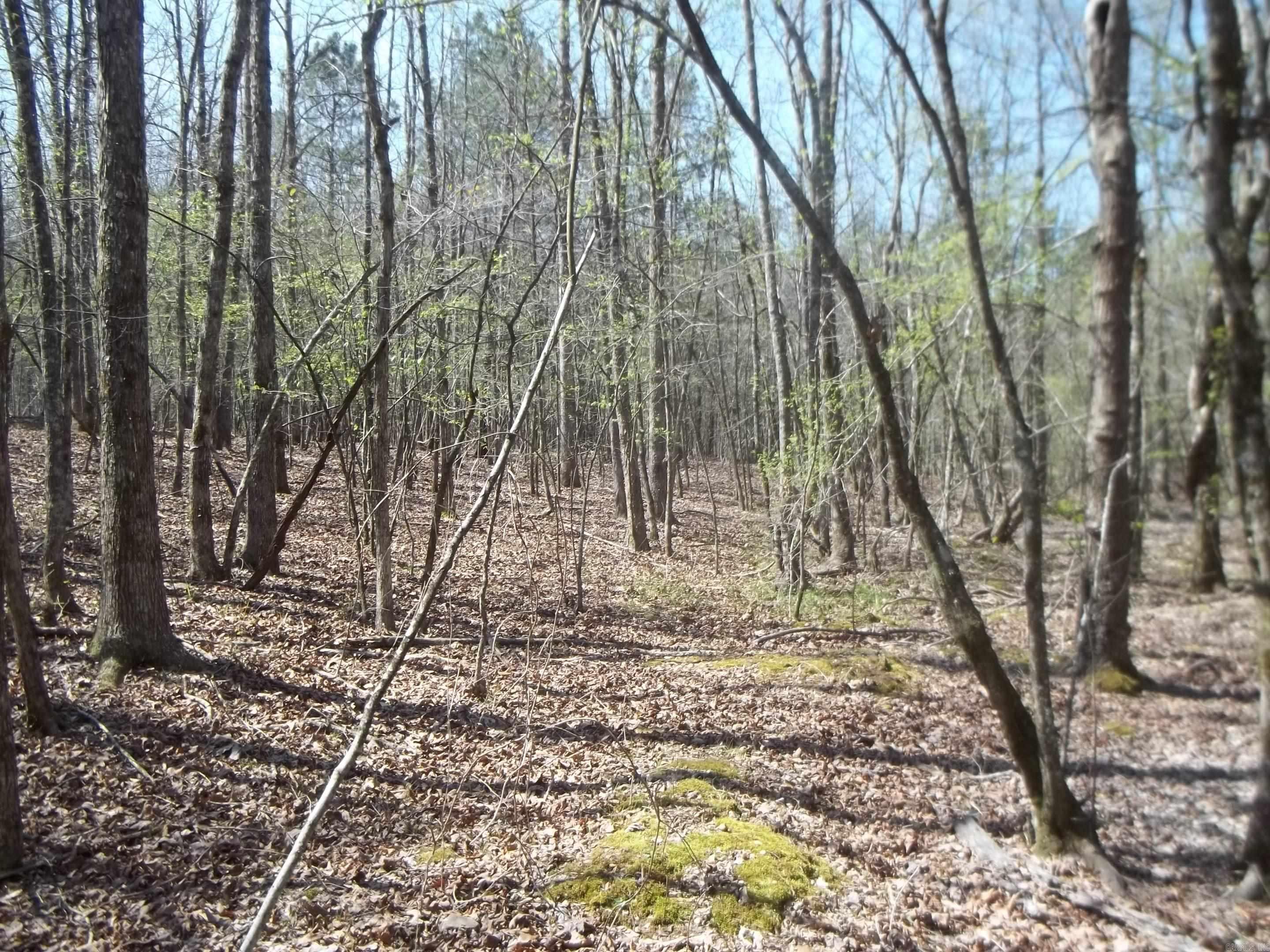 1013 Polk Road 23 Cove, AR 71937