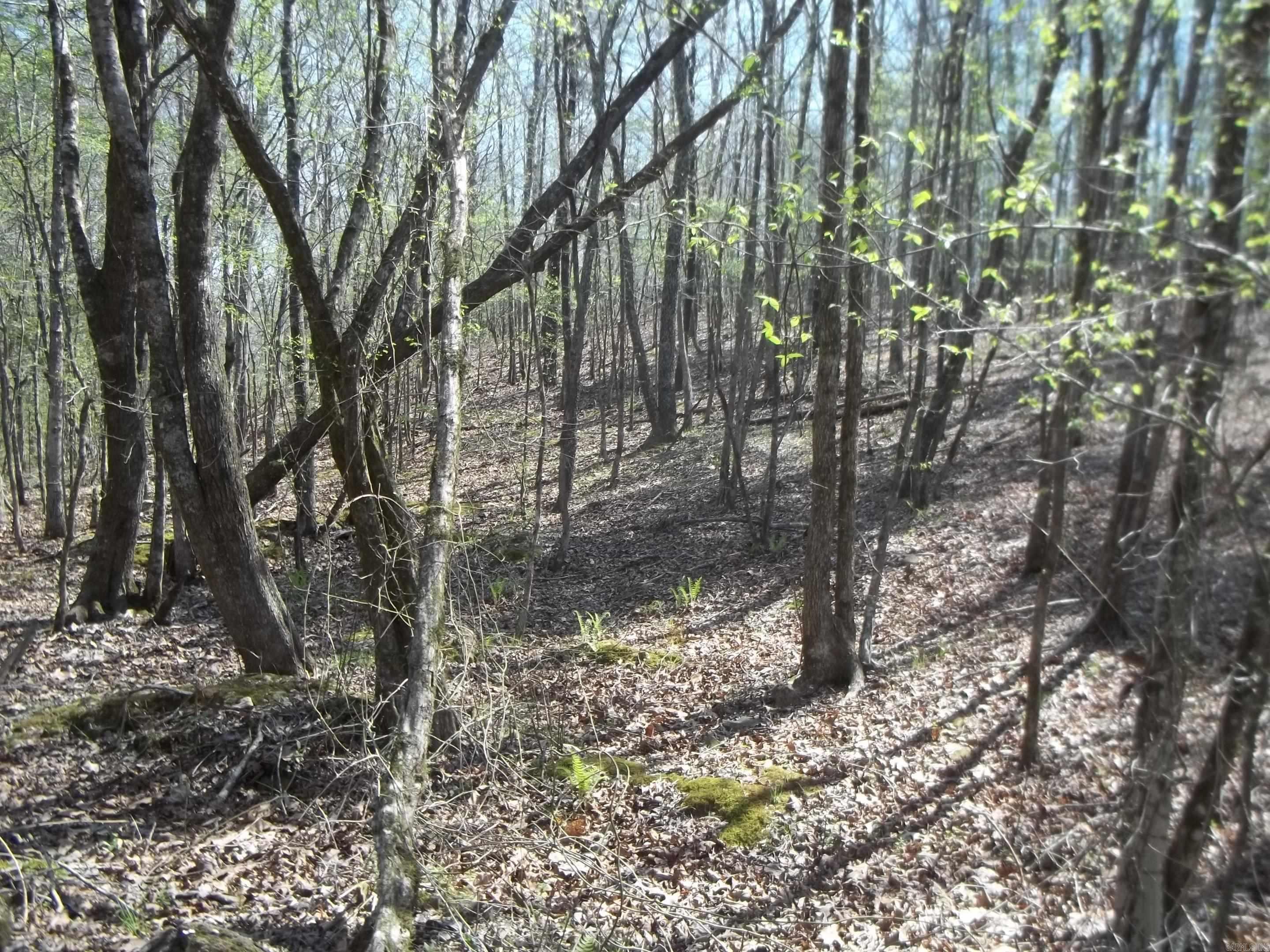 1013 Polk Road 23 Cove, AR 71937