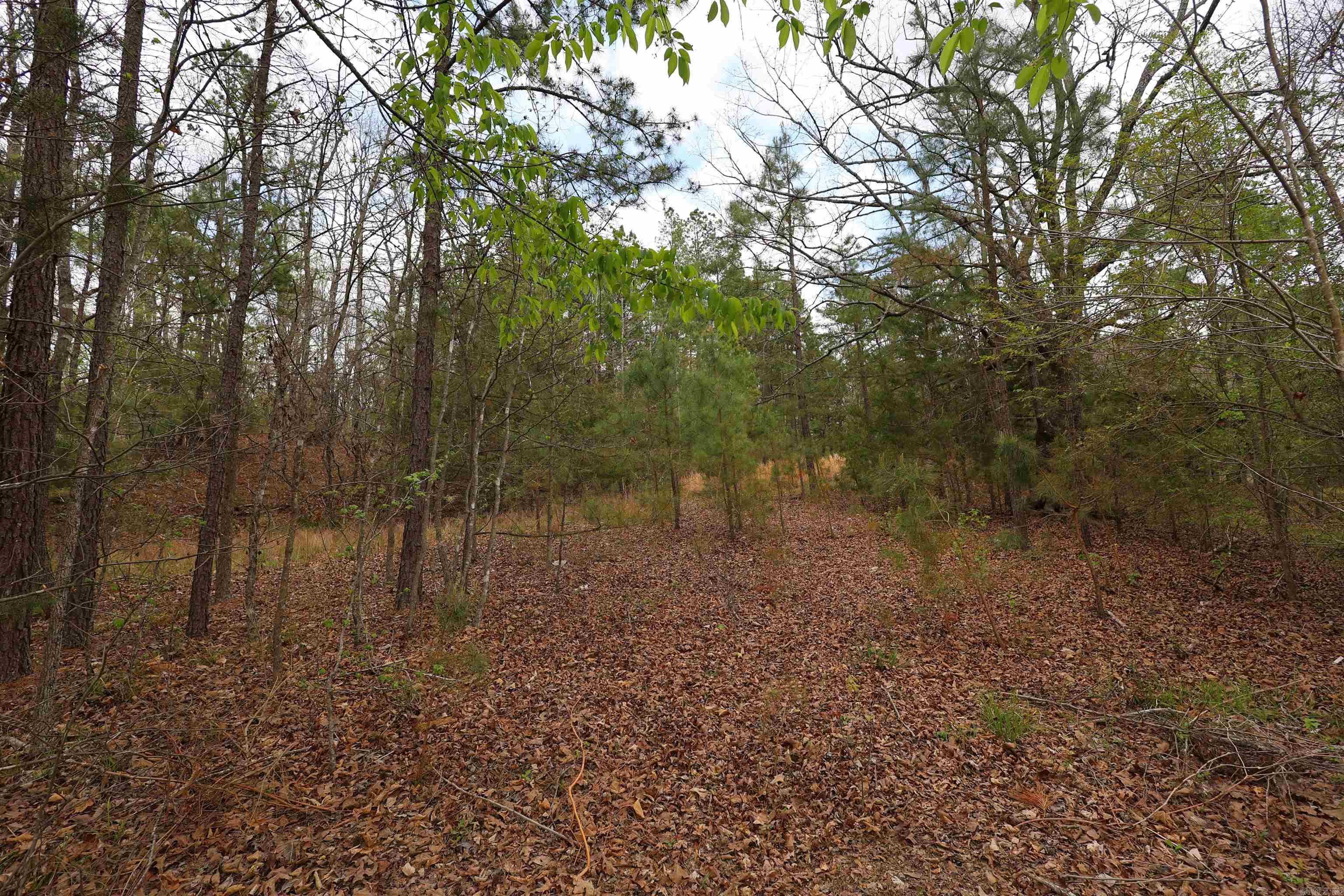 5272 & 5280 HWY 270  Mount Ida, AR