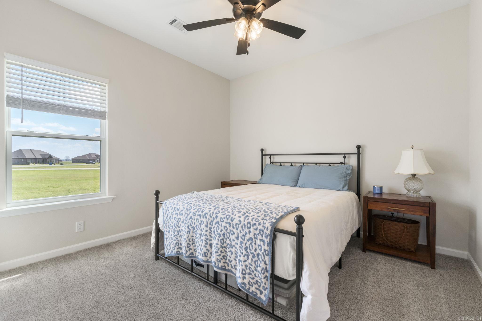 13701 Smarty Jones  Scott, AR