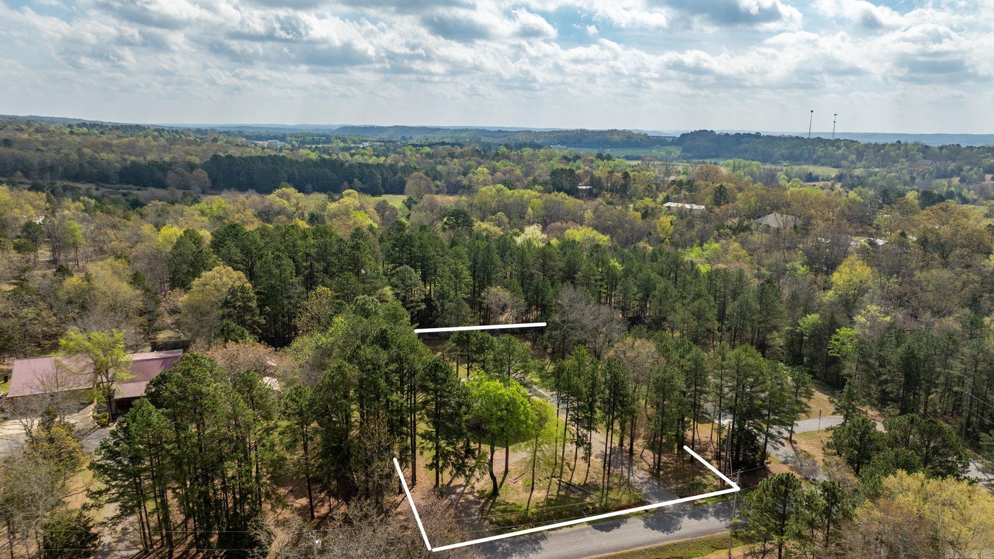 16 Trina  Greenbrier, AR