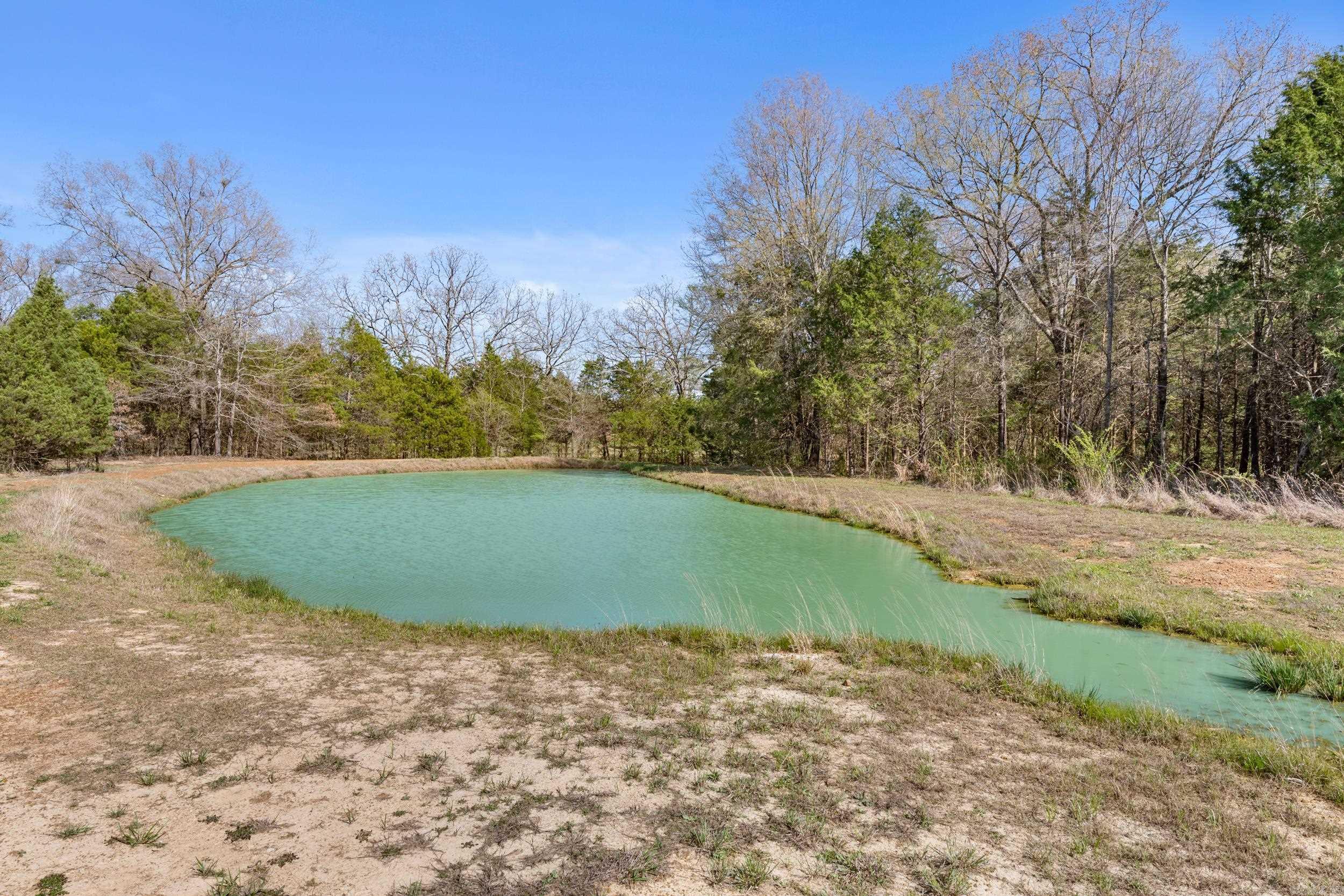 125 Louis Rose  Conway, AR