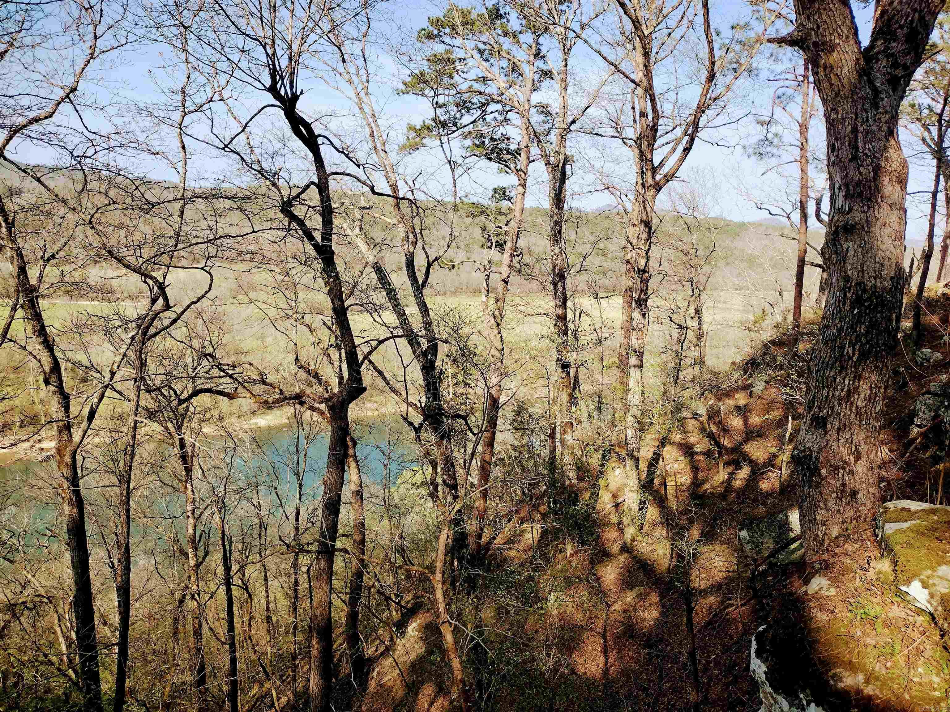 1444 Forest Home LN  Mountain View, AR