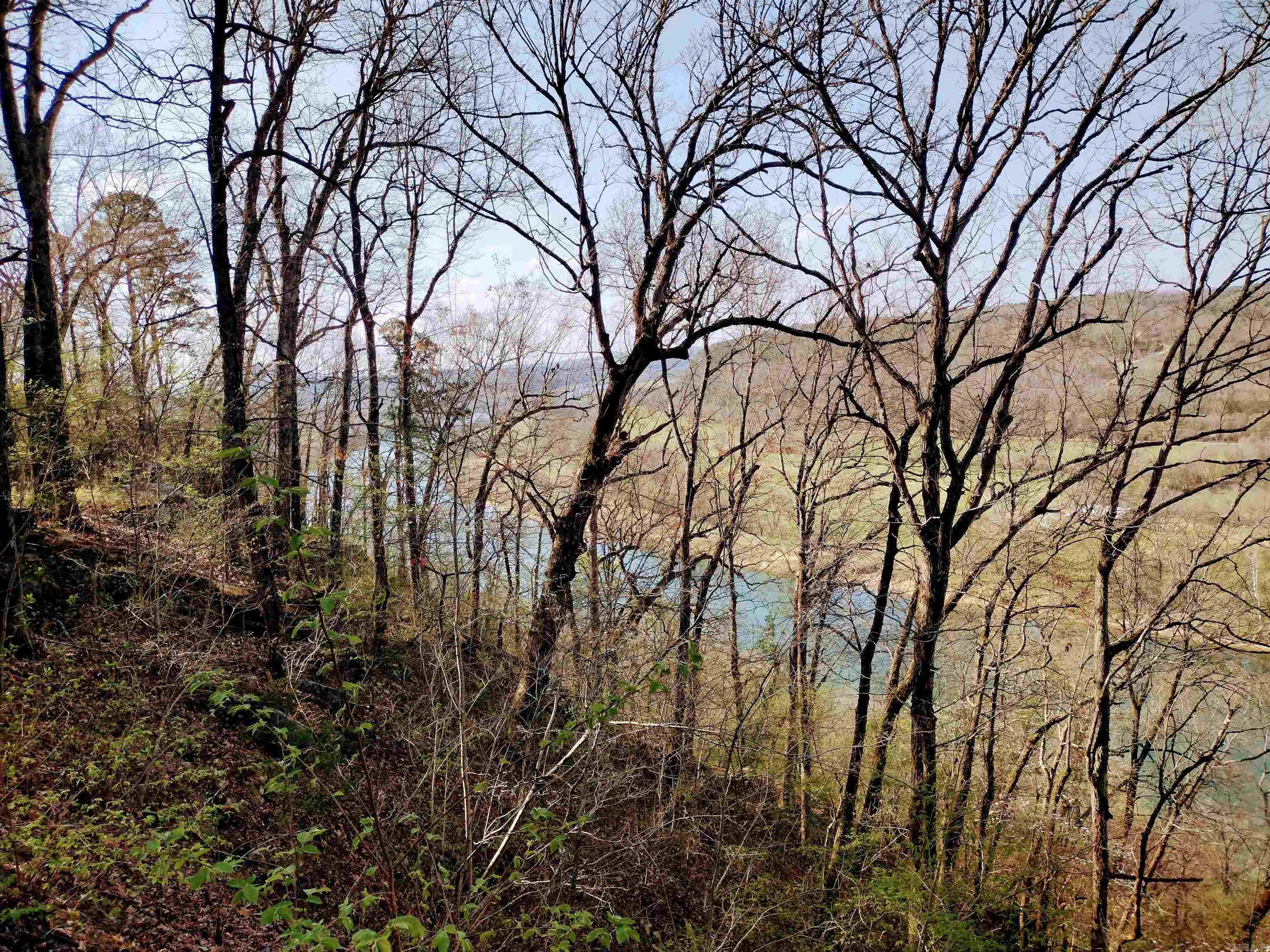 1444 Forest Home LN  Mountain View, AR