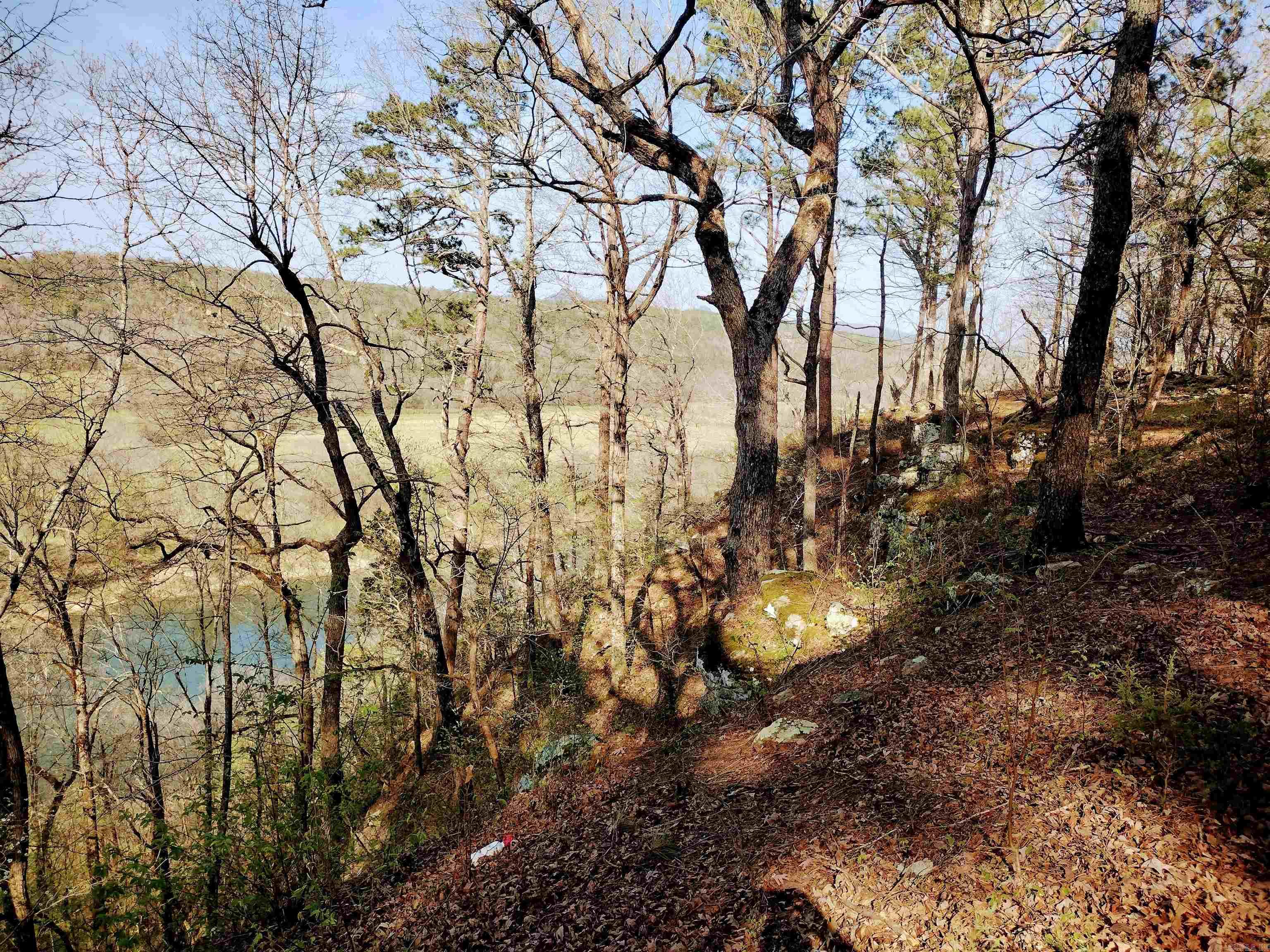 1444 Forest Home LN  Mountain View, AR