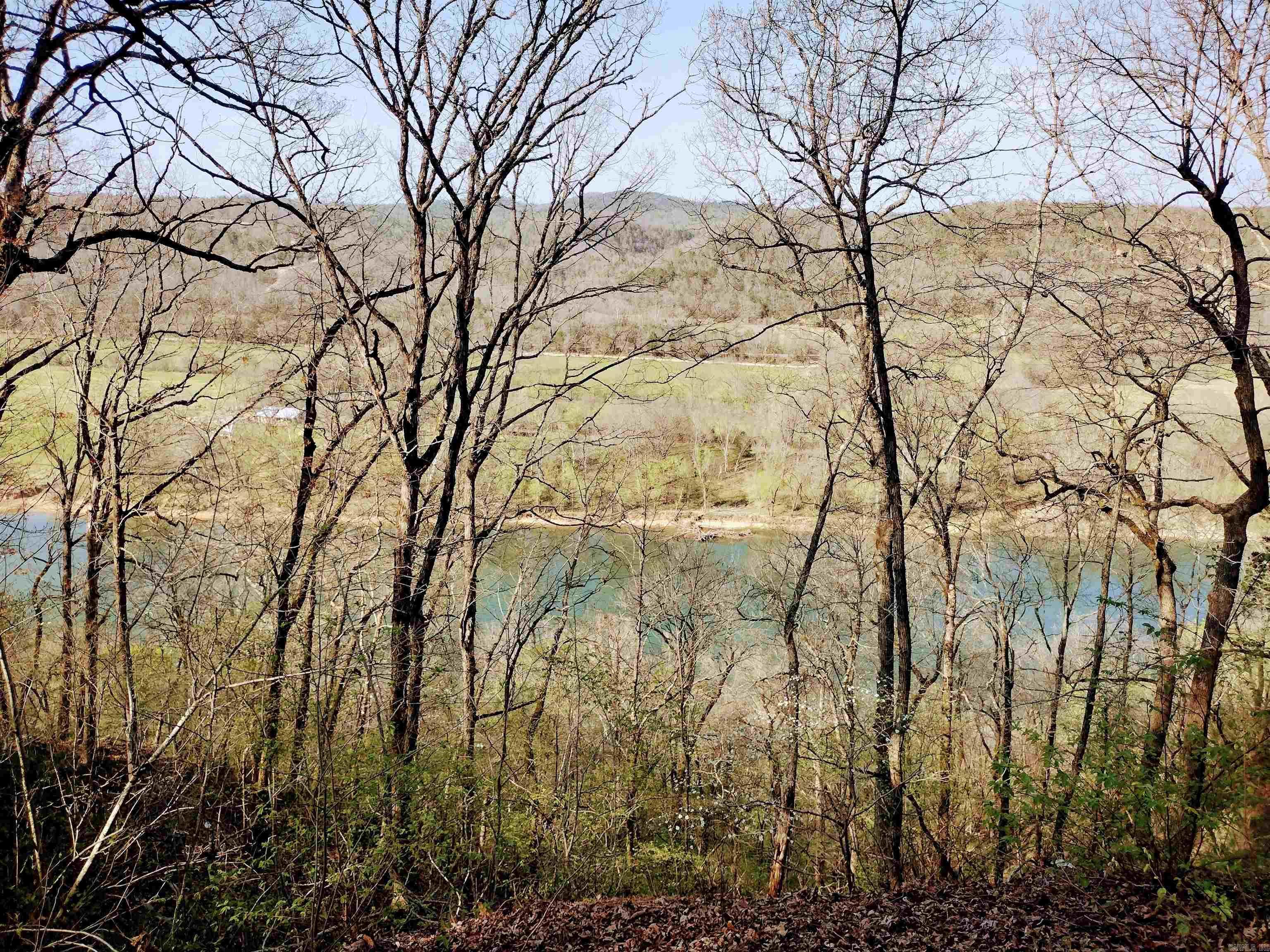 1444 Forest Home LN  Mountain View, AR