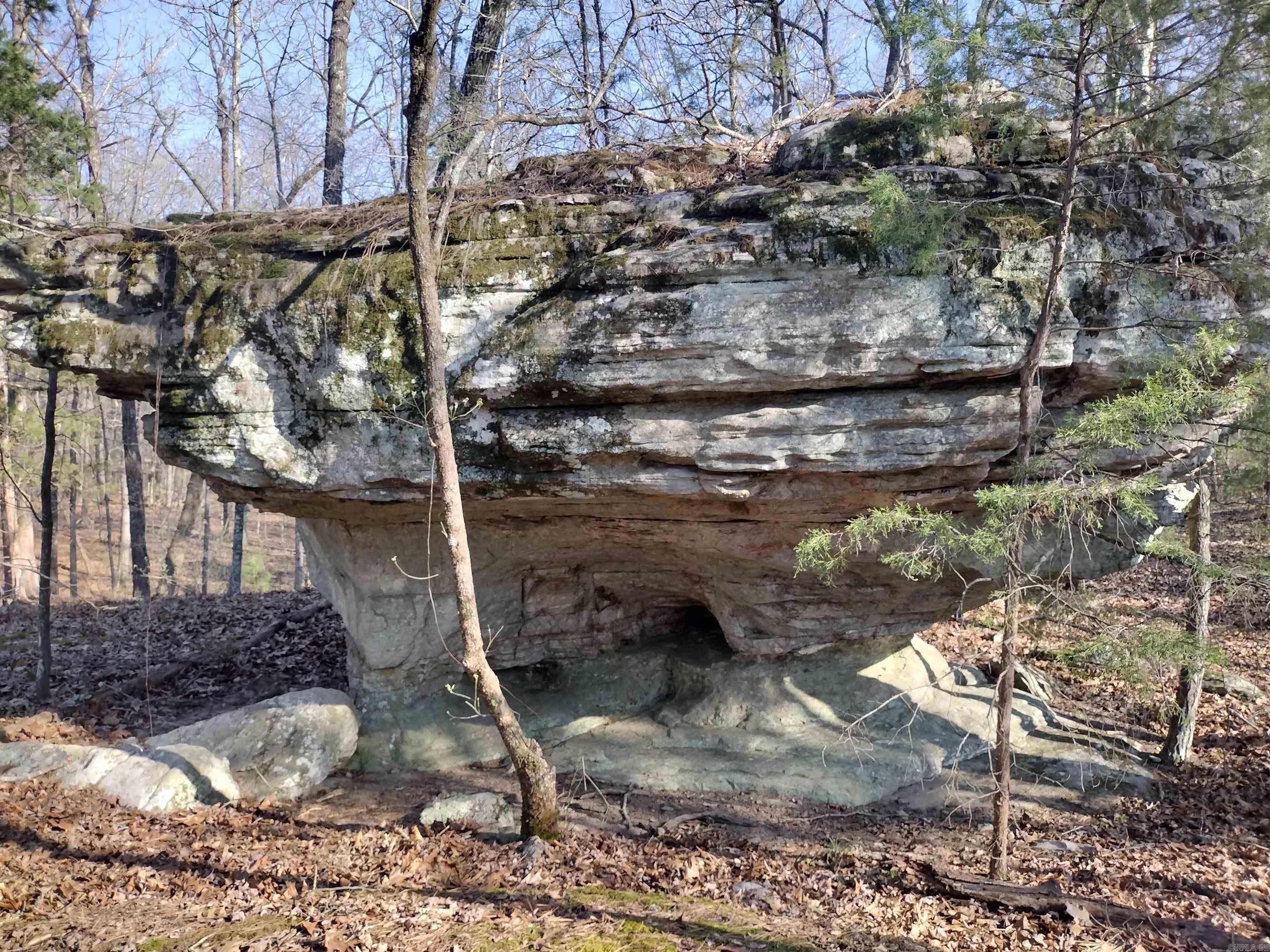 1444 Forest Home LN  Mountain View, AR