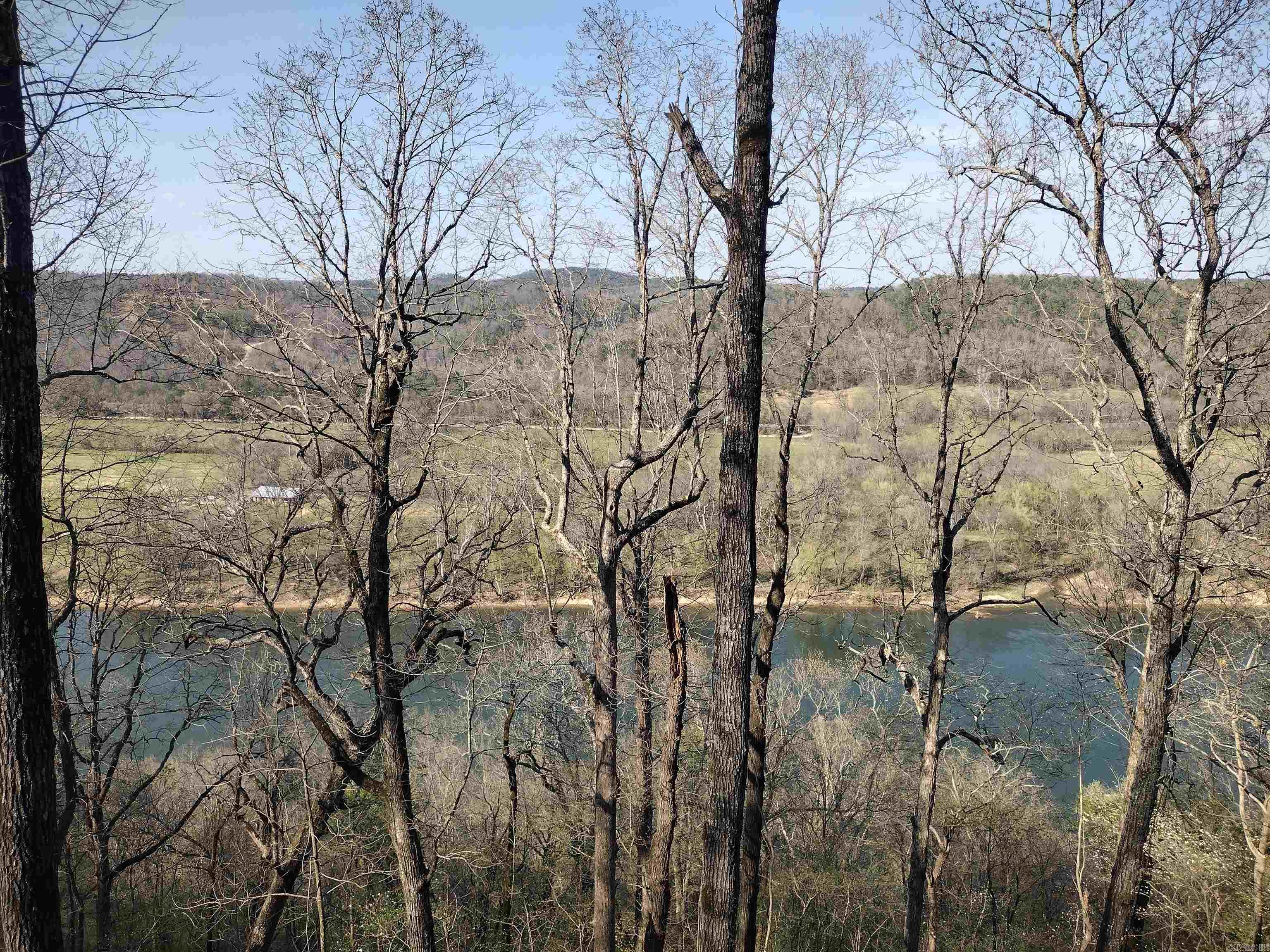 1444 Forest Home LN  Mountain View, AR