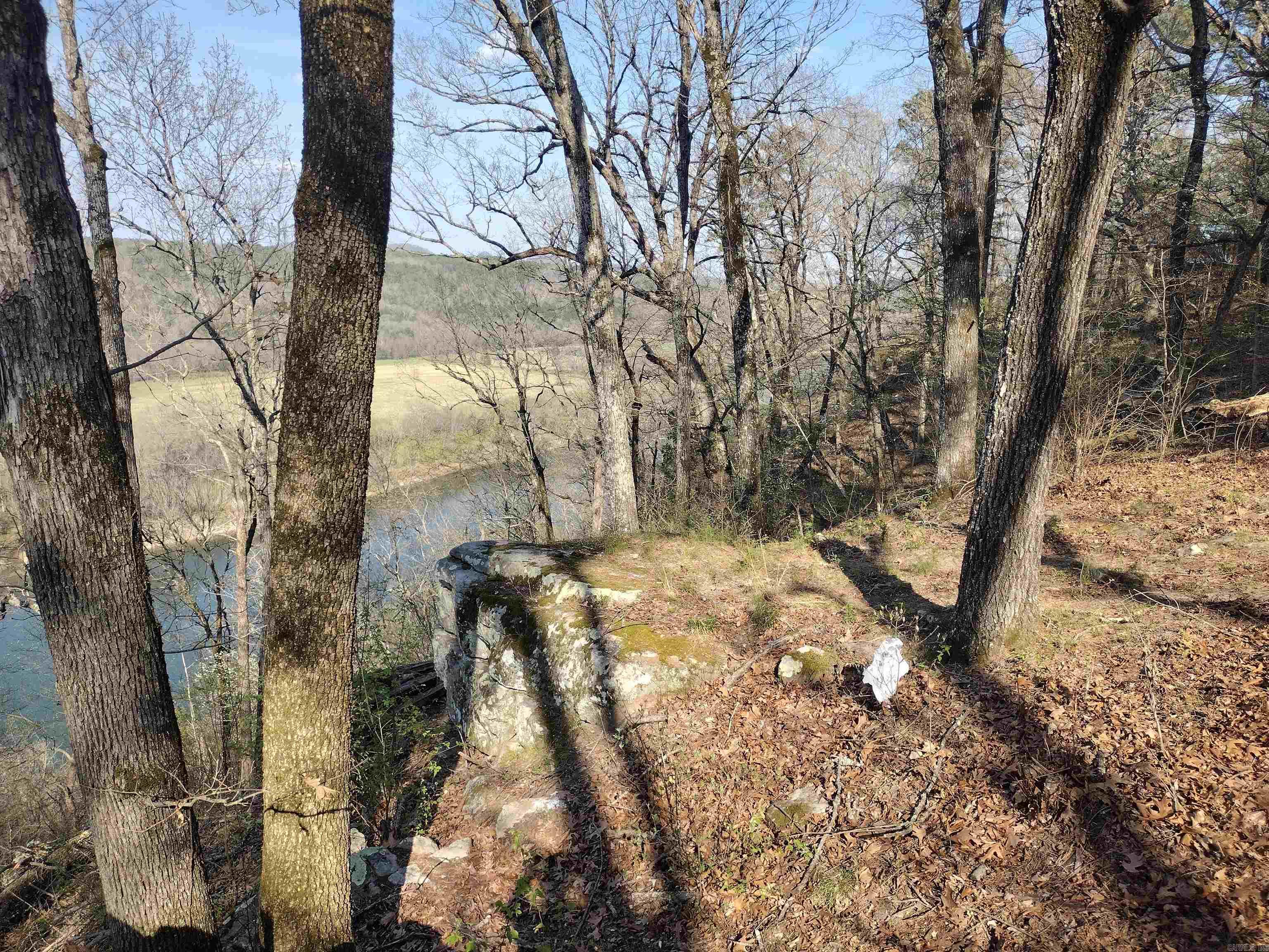 1444 Forest Home LN  Mountain View, AR