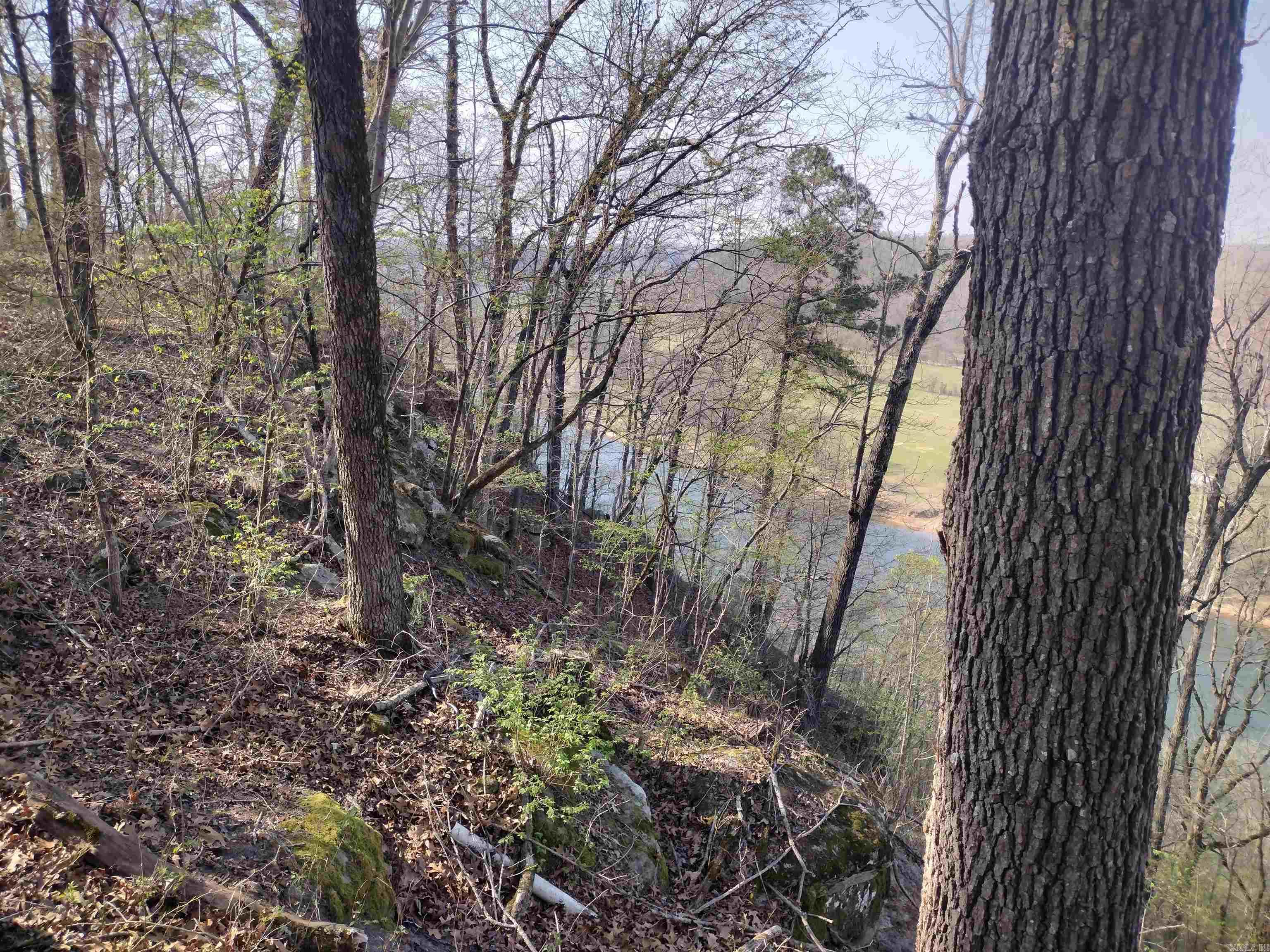 1444 Forest Home LN  Mountain View, AR