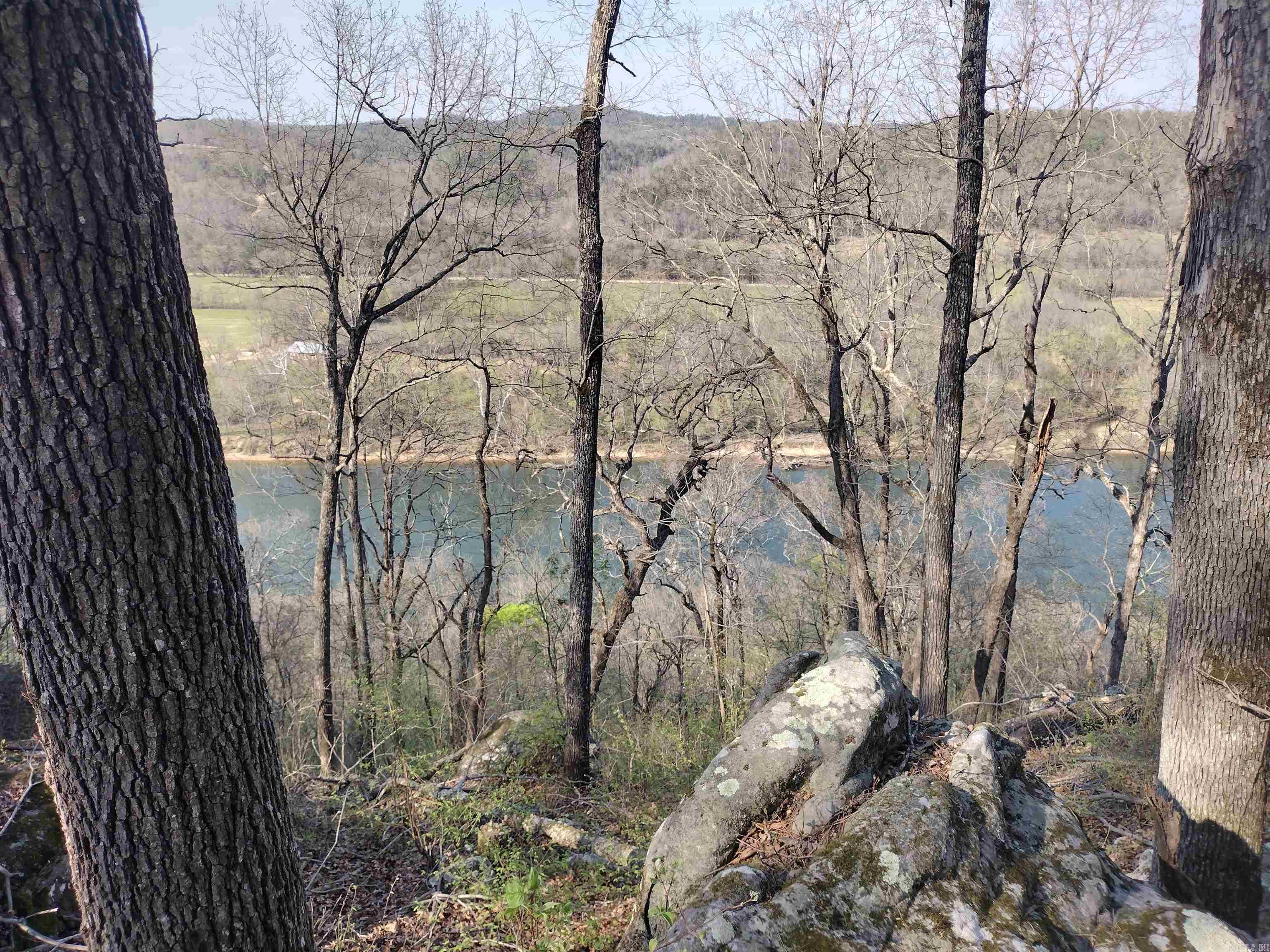 1444 Forest Home LN  Mountain View, AR