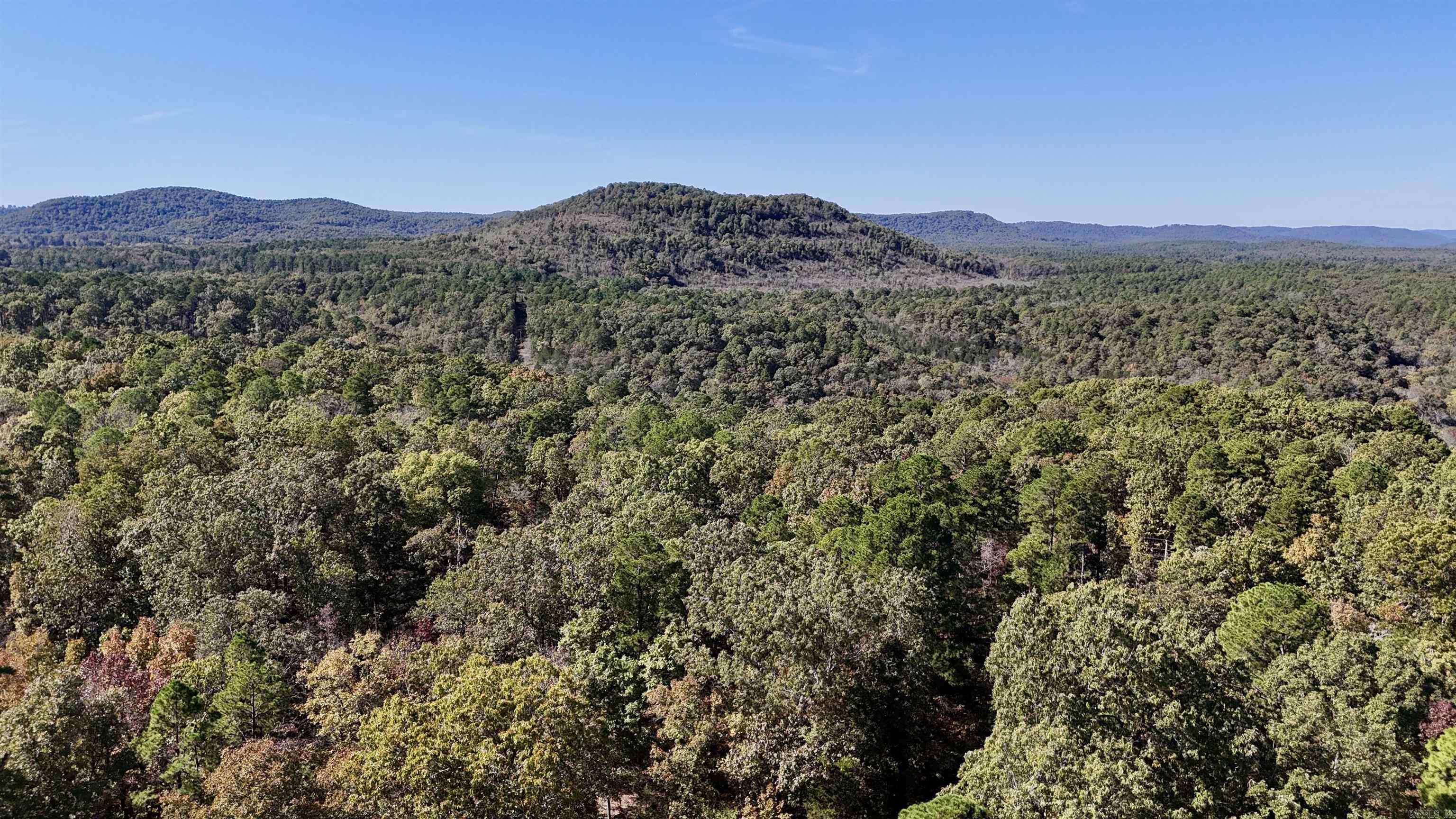 1444 Forest Home LN  Mountain View, AR