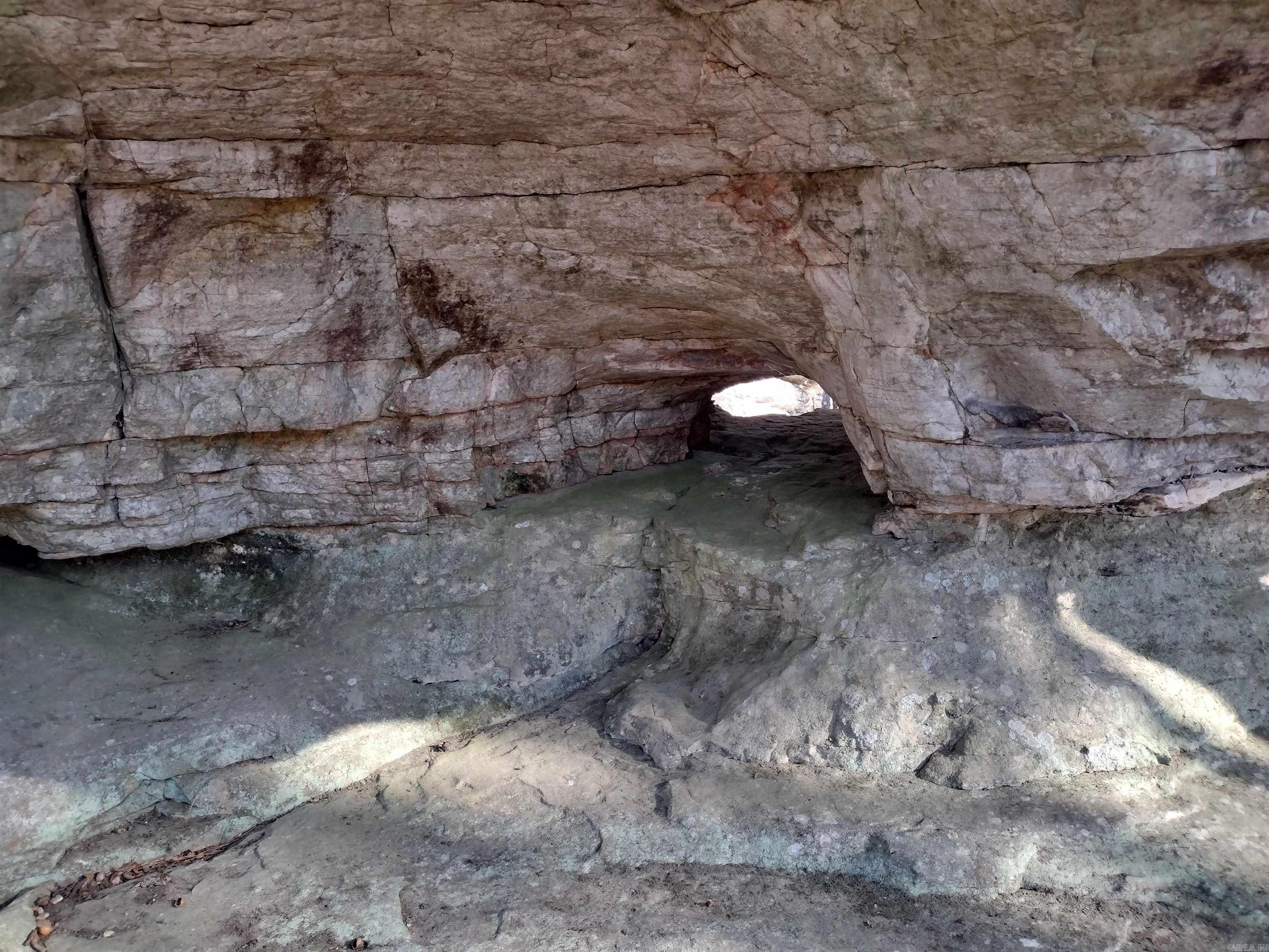 1444 Forest Home LN  Mountain View, AR