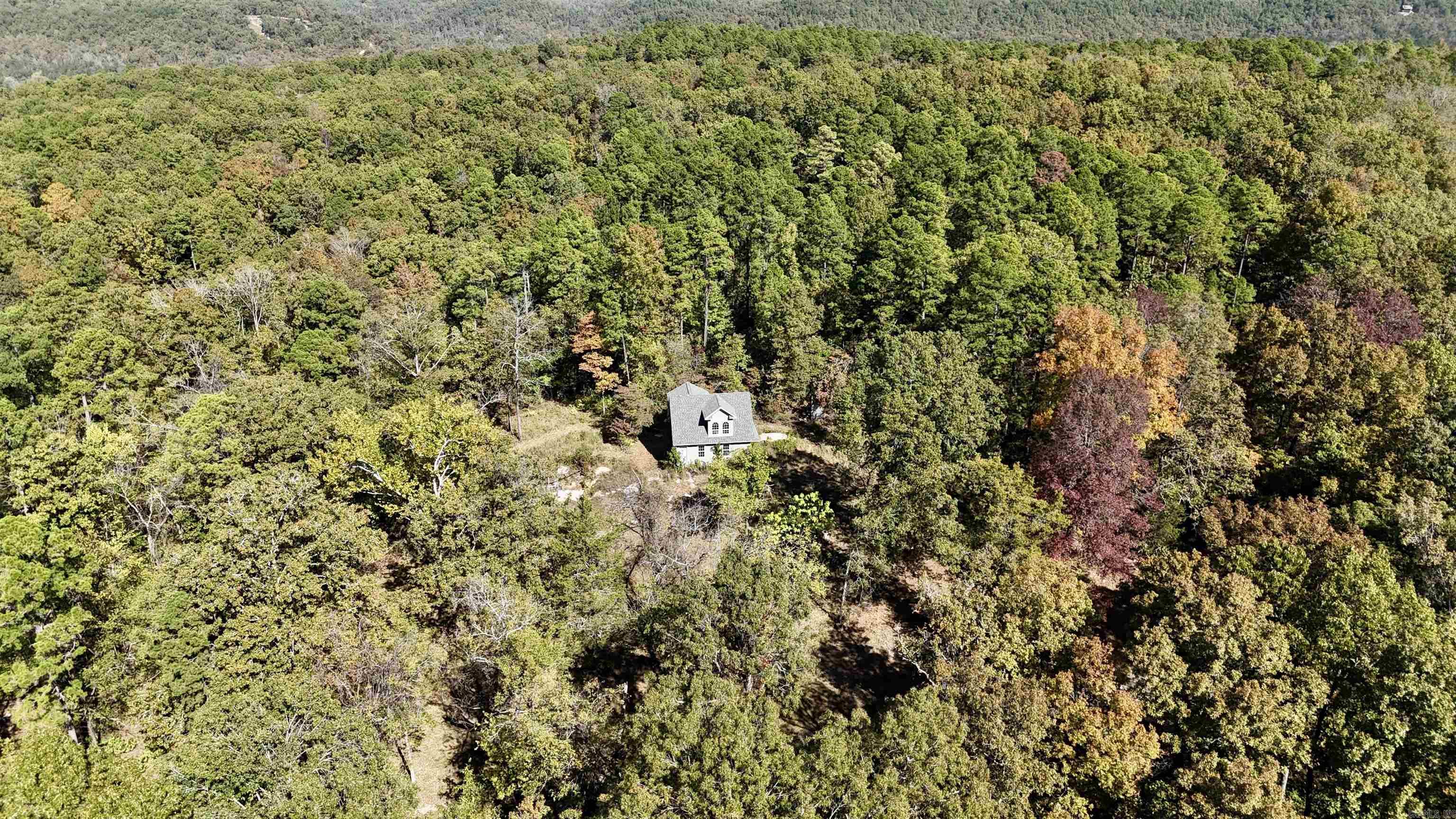 1444 Forest Home LN  Mountain View, AR